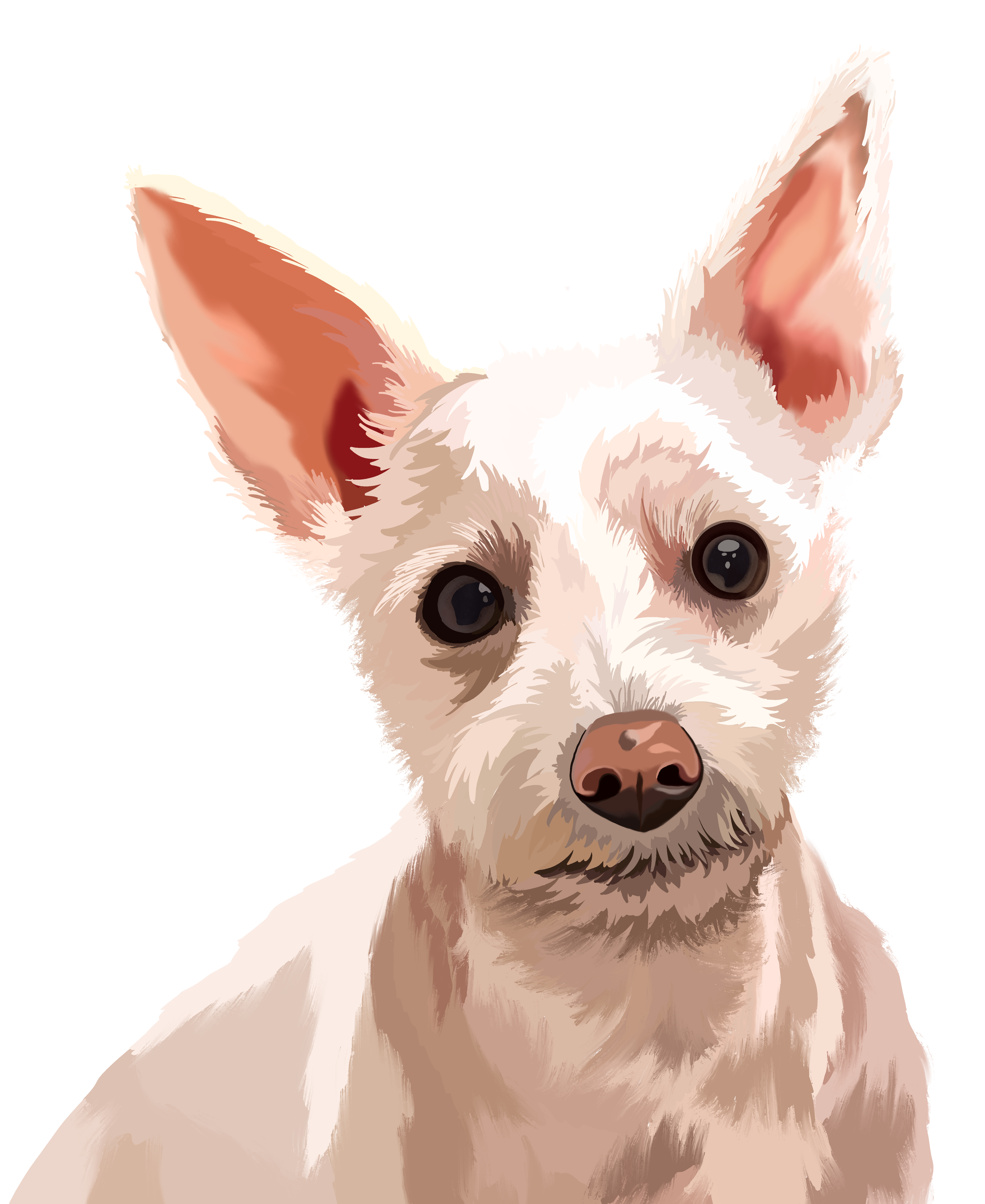 IMG_6259.png