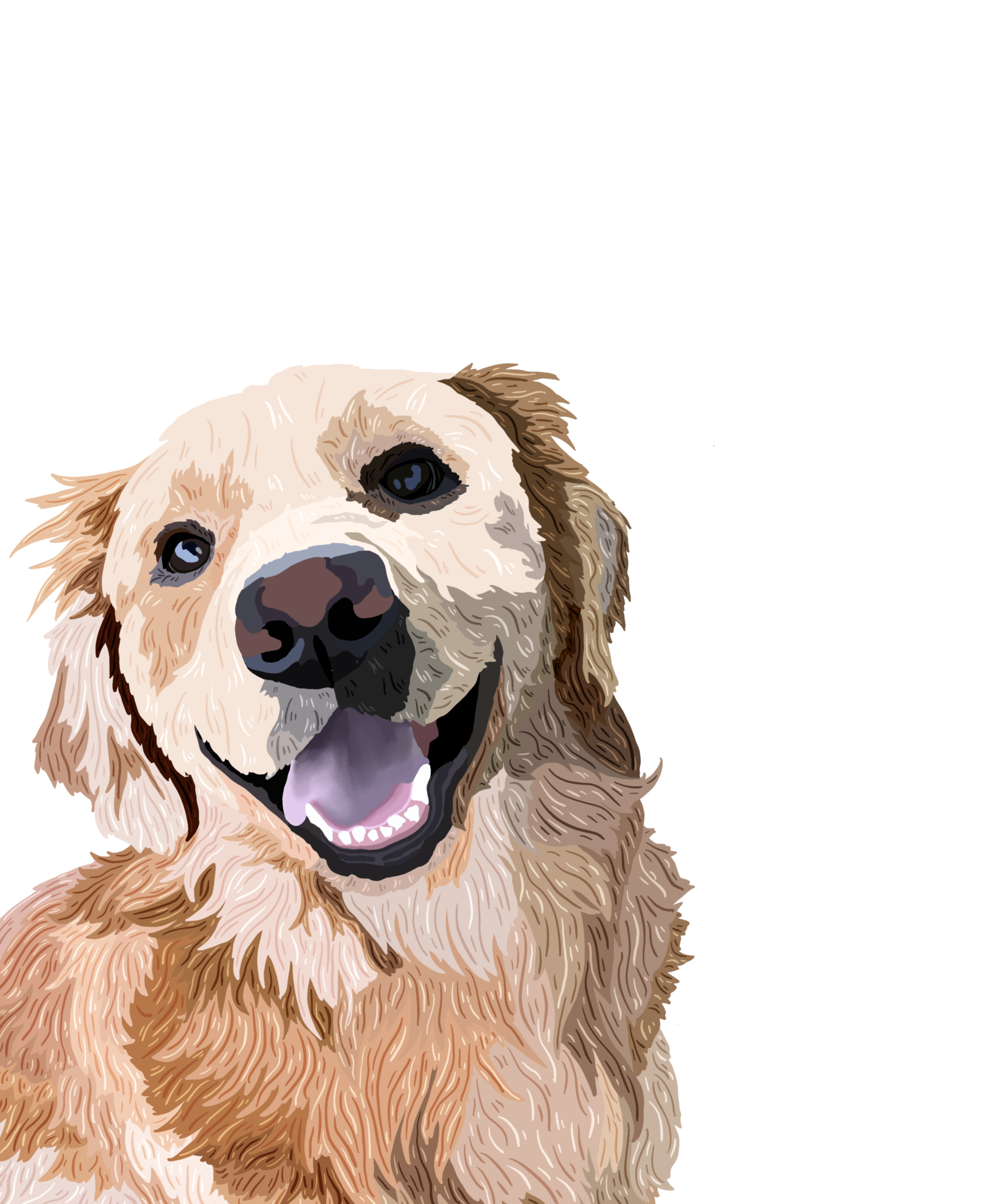 IMG_6254.png