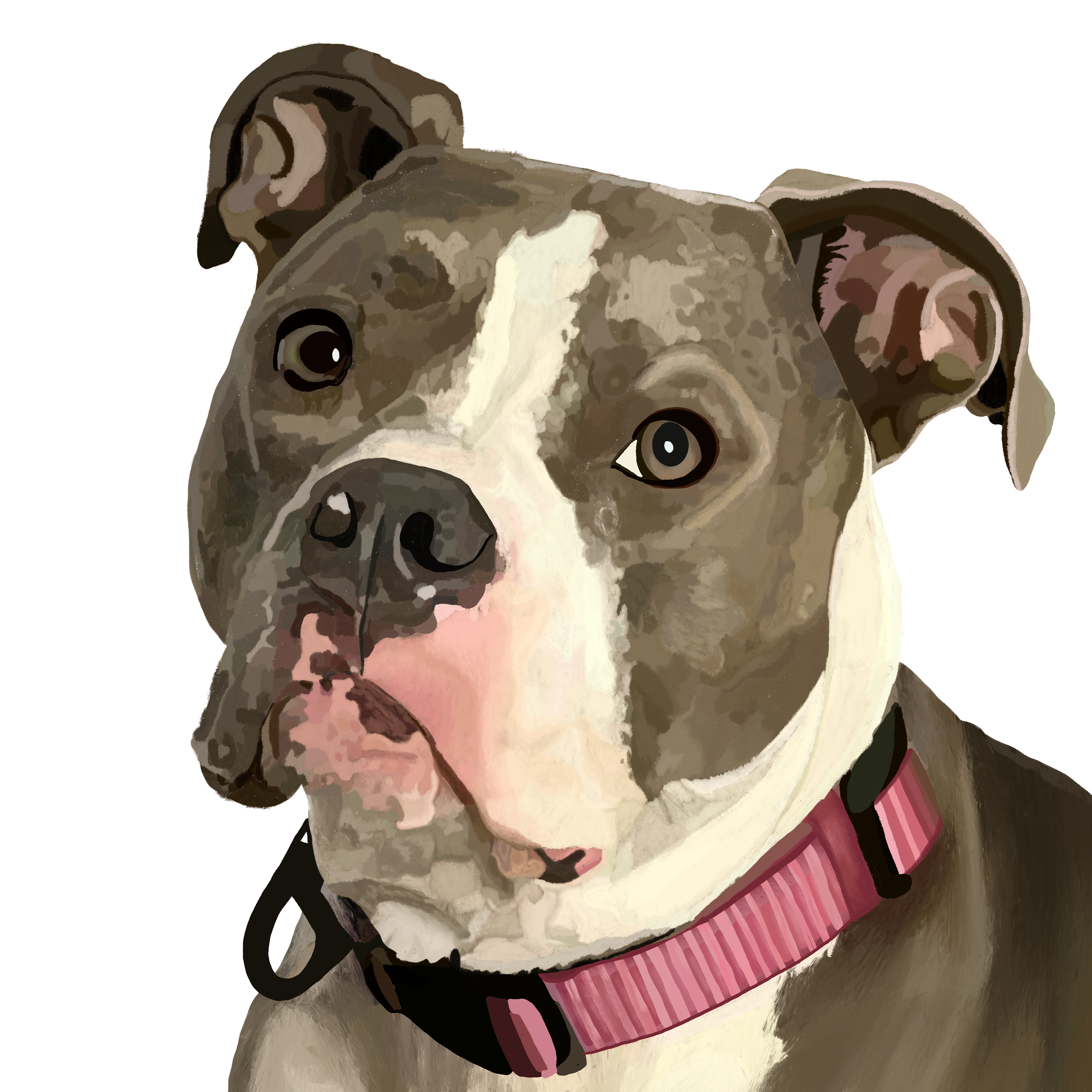 IMG_6263.png