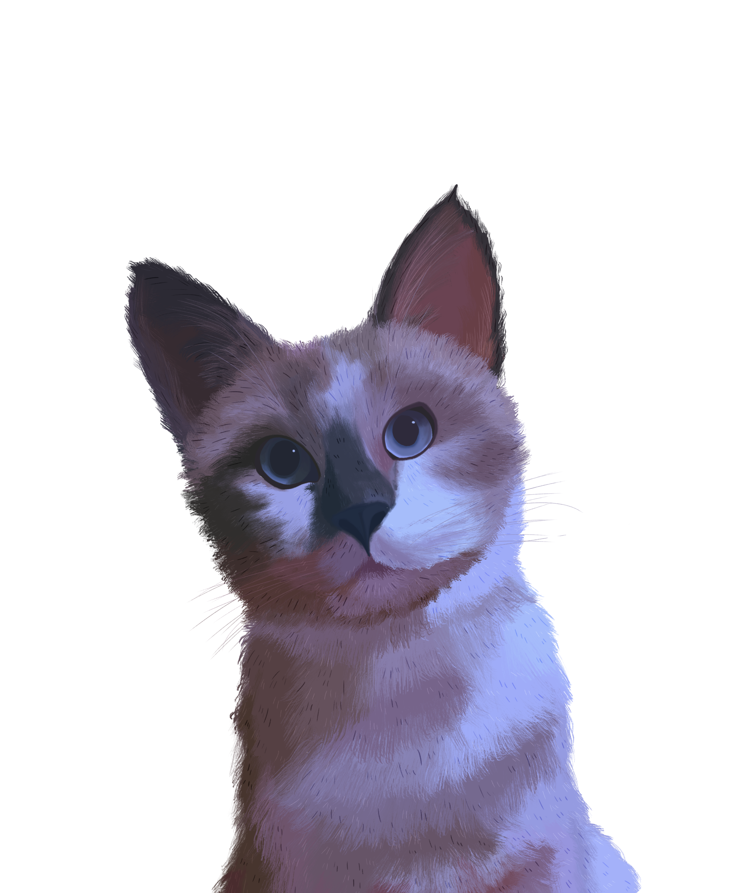 IMG_6256.png