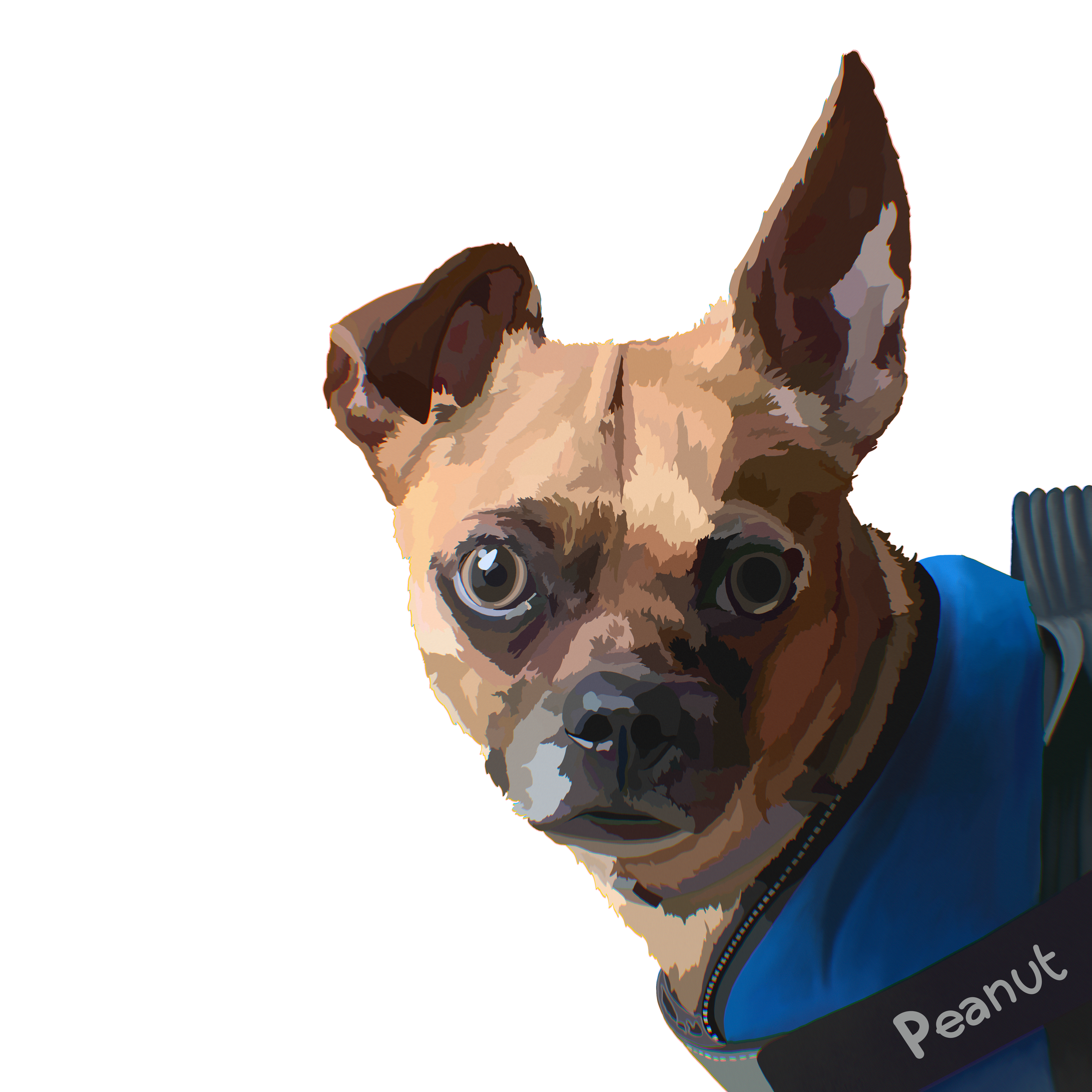 IMG_6264.png