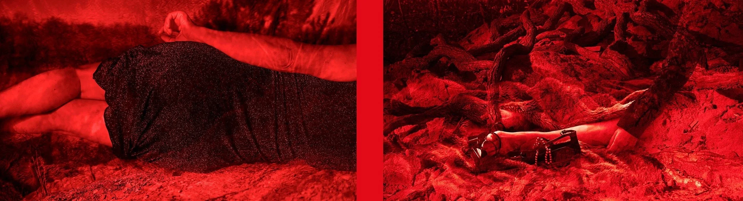 dyptich_red_sm.jpg