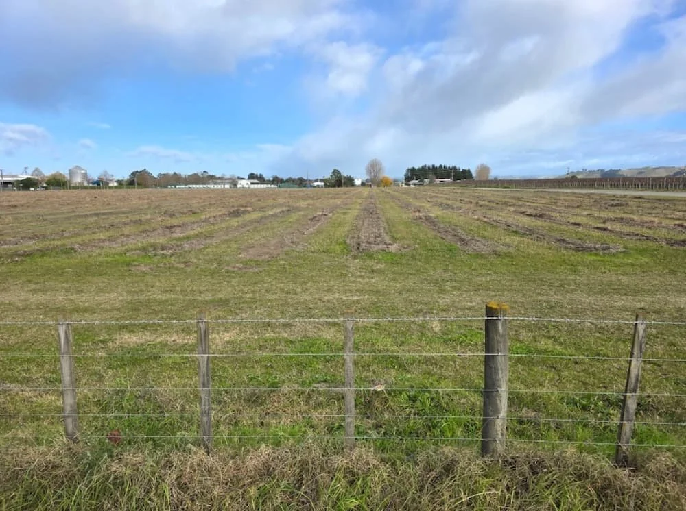 I Dig It Vineyard removal excavation and demolition for land preparation to redevelop in Hawke's Bay