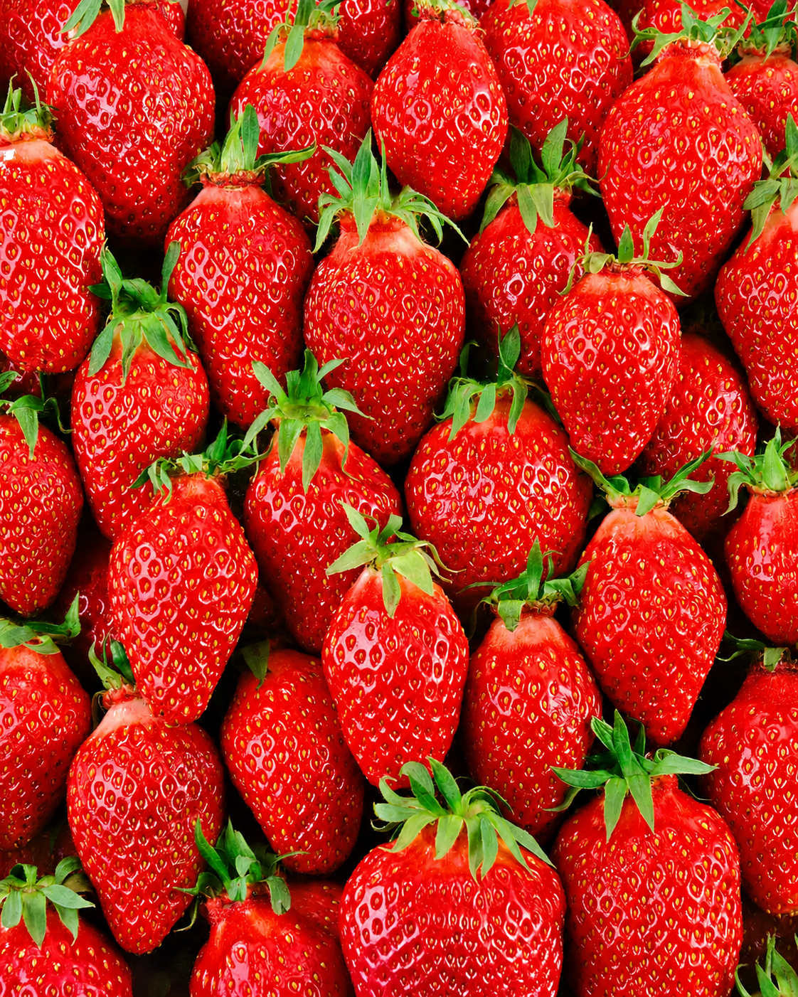 Fraises Gariguette, symbole de l'identité et de l'univers de l'Agence Gariguette.