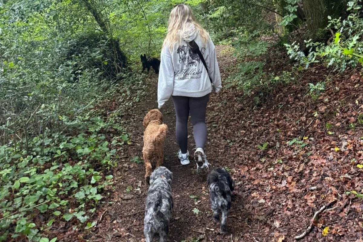 A person with blonde hair walking on a forest trail with four dogs, two smaller black and gray dogs in the front, a brown curly-haired dog in the middle, and a black dog further ahead among green trees and foliage.