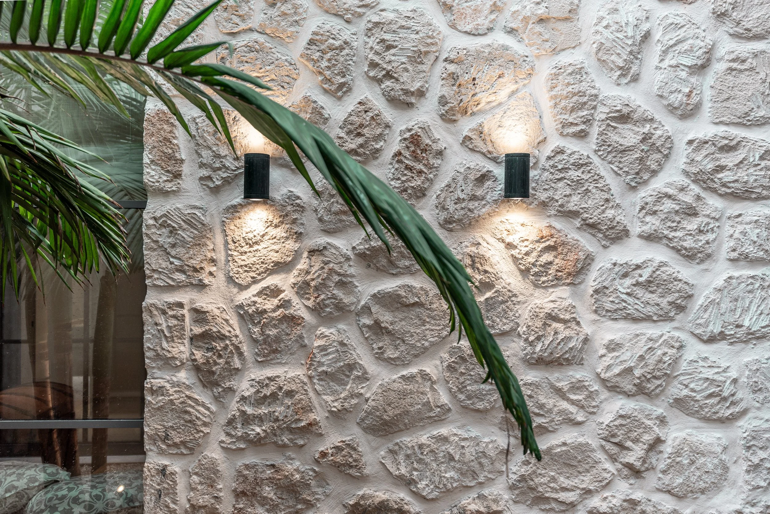 Pared de piedra decorativa con dos luces empotradas y una planta con hojas largas y verdes en primer plano.