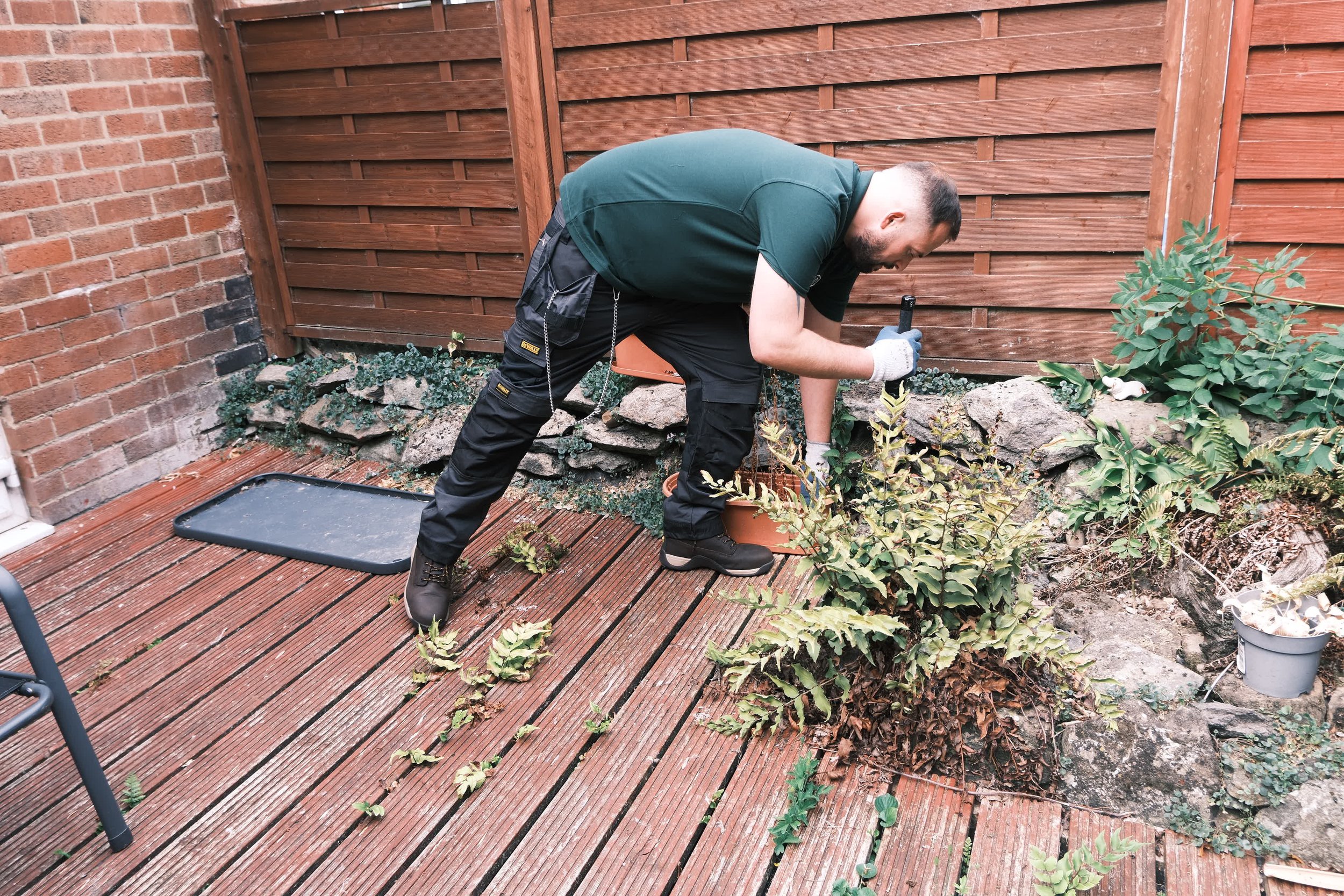 A man with a beard, wearing a green t-shirt, black work pants, and gloves, is crouching and working in a garden area with rocks, plants, and a wooden fence behind him. He is inspecting the premisses for rat and mouse activity.