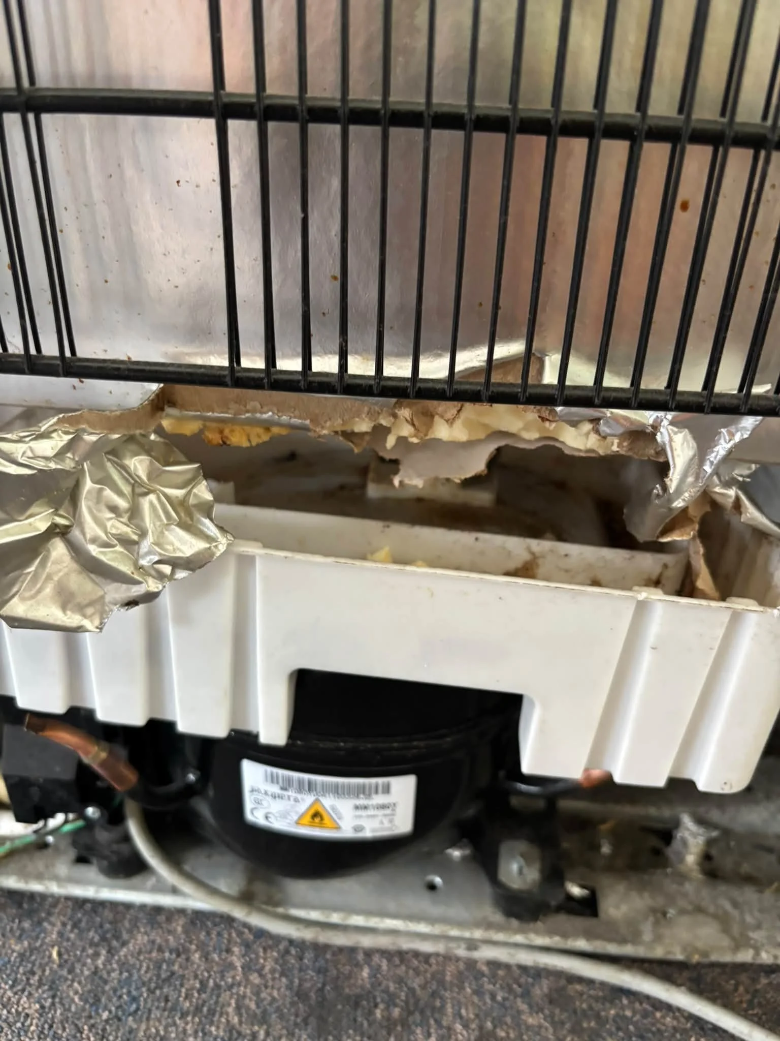 🐀 Hidden Damage Caused by Rats 🐀

During a recent inspection, we discovered significant damage to the rear of a fridge caused by a brown rat.

The rat had been using the void space behind the appliance as a nesting site, shredding and removing larg
