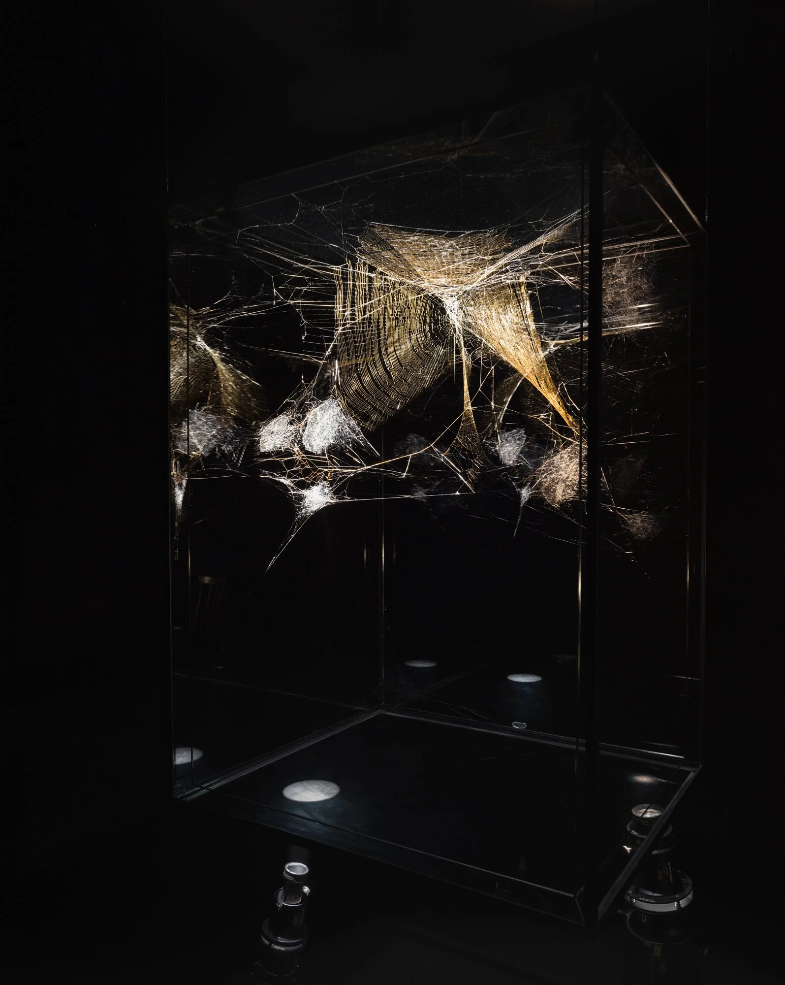 Inter + Play 2 - Studio Tomas Saraceno - Exhibition - Towada, Japan - 2021
