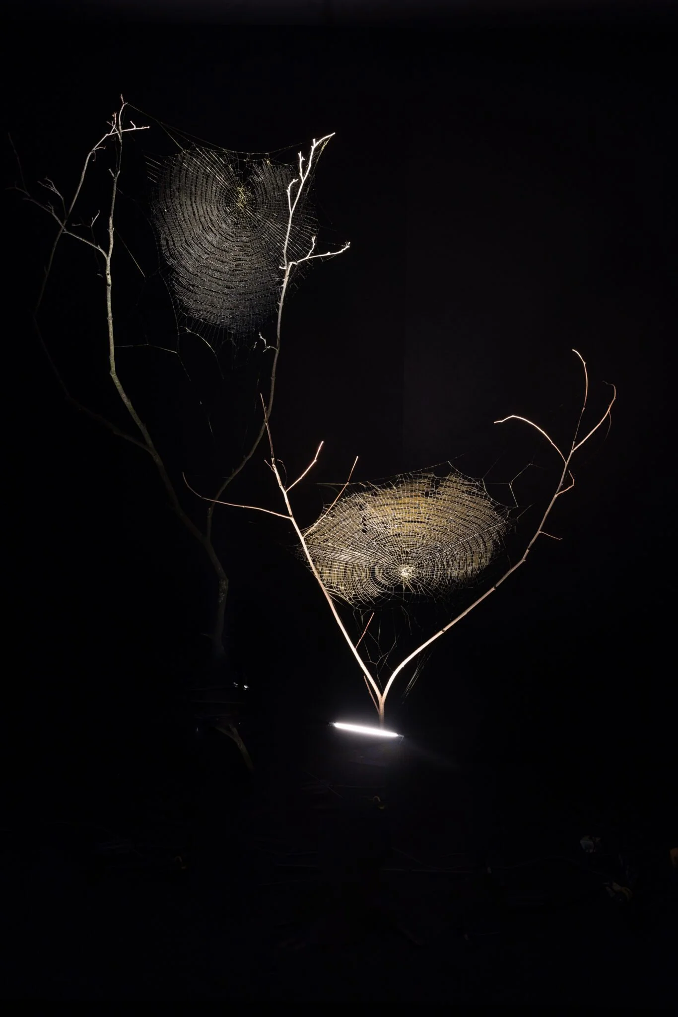 Web(s) of Life - Studio Tomas Saraceno - Exhibition + temporary installation - Serpentine Galleries, London - 2023