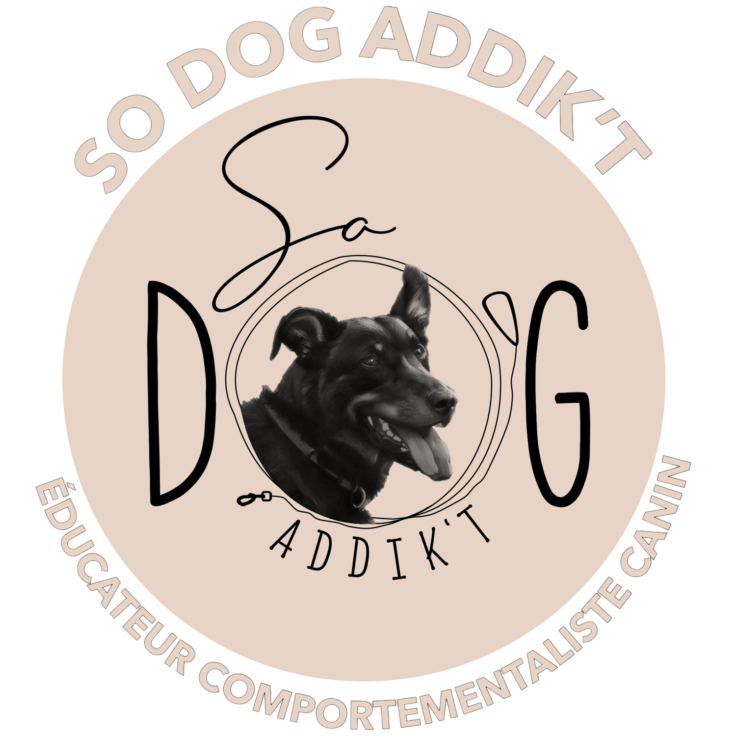 SO DOG ADDIK'T - Educateur comportementaliste canin 
