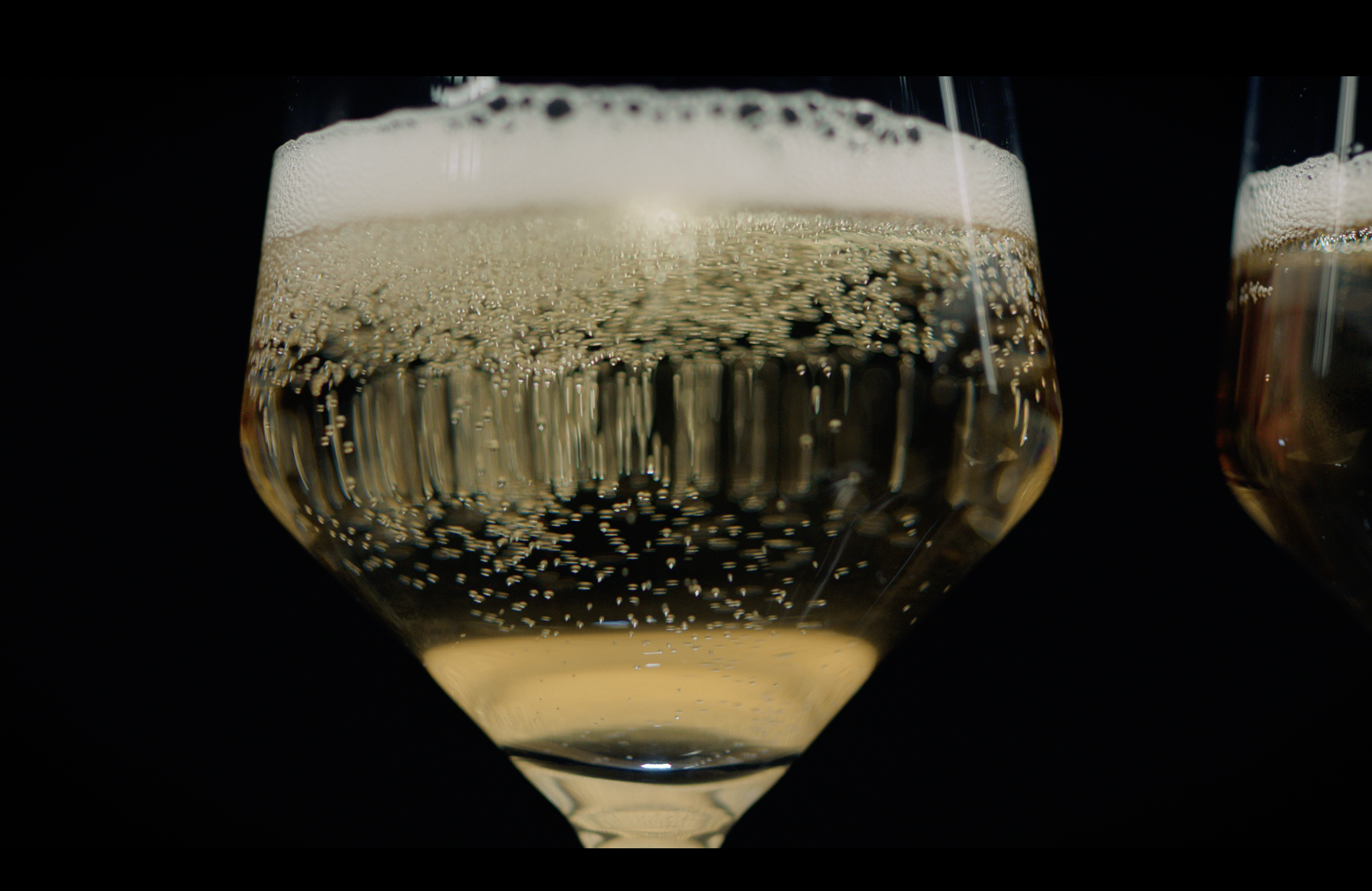 Winemasters: Champagne (Documentary)
