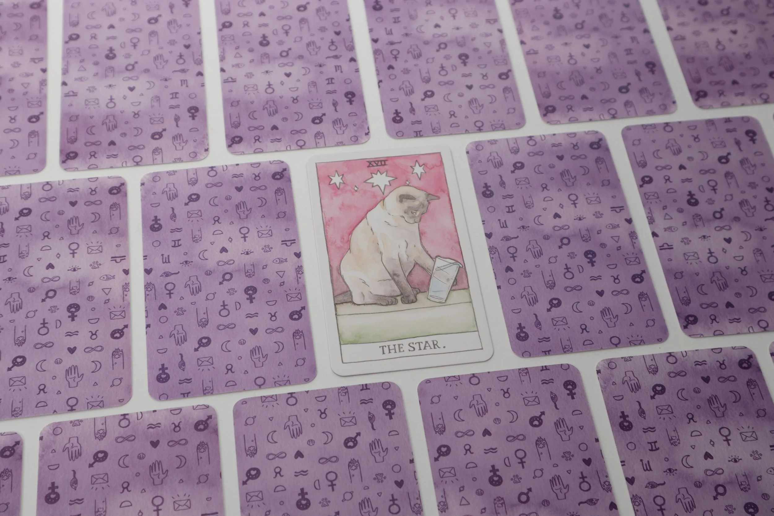 Several tarot cards from the Cat Tarot Deck are face down on a white table, the centre card is face up showing a Cat knocking a glass of water over depicting the Star card