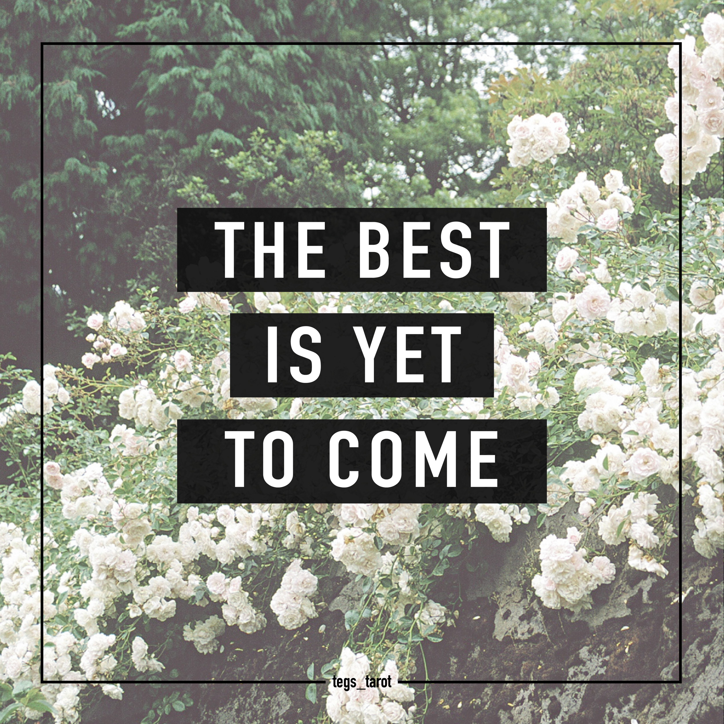 Quote over white flowers - the best is yet to come