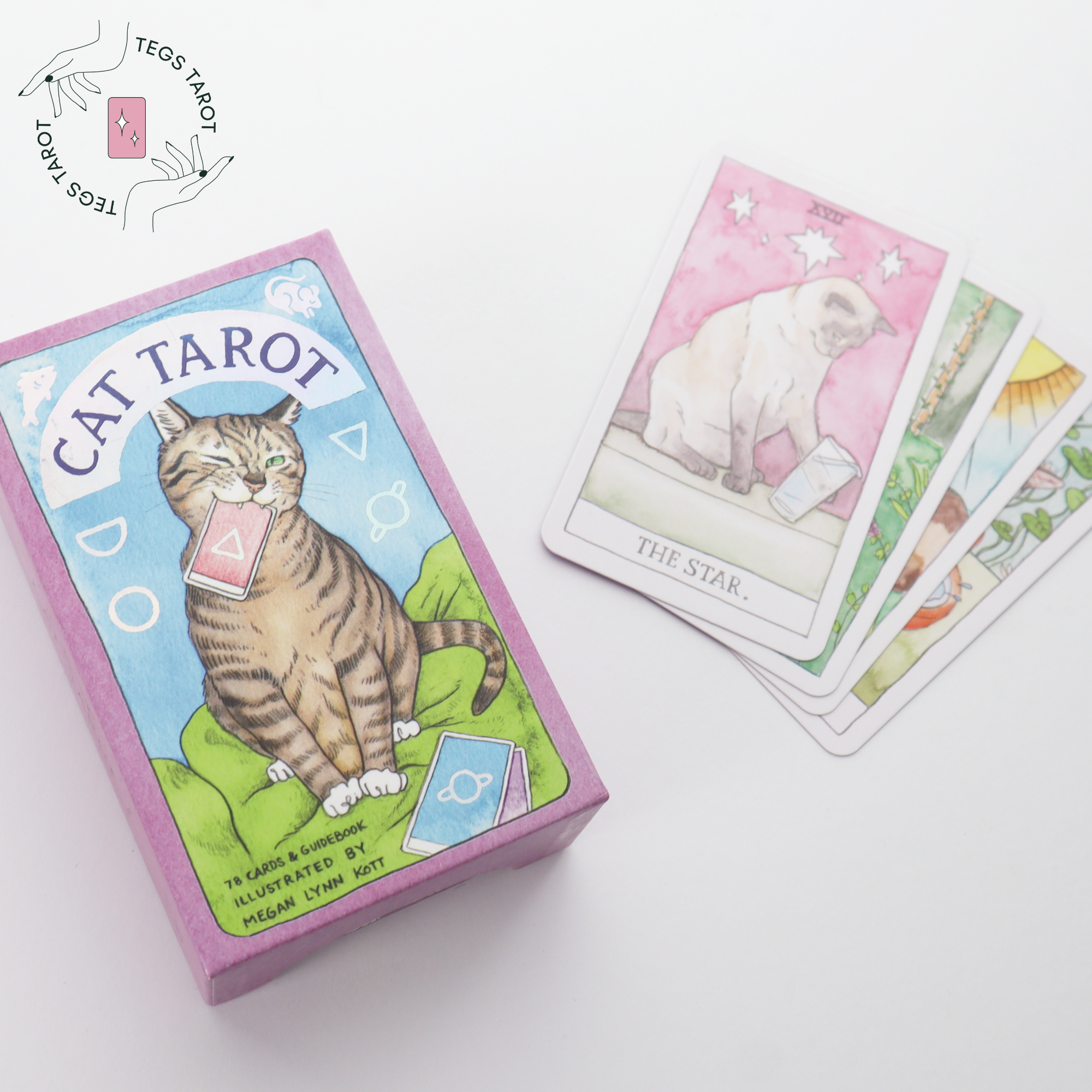 Cat Tarot Deck by Megan Lynn Kott. Deck Cover upright to the side with four cards fanned out to the right of the cover. The card on top is the Star card.