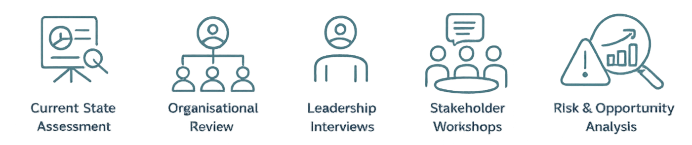 Icons representing stages of a business review process: Current State Assessment, Organisational Review, Leadership Interviews, Stakeholder Workshops, Risk & Opportunity Analysis.