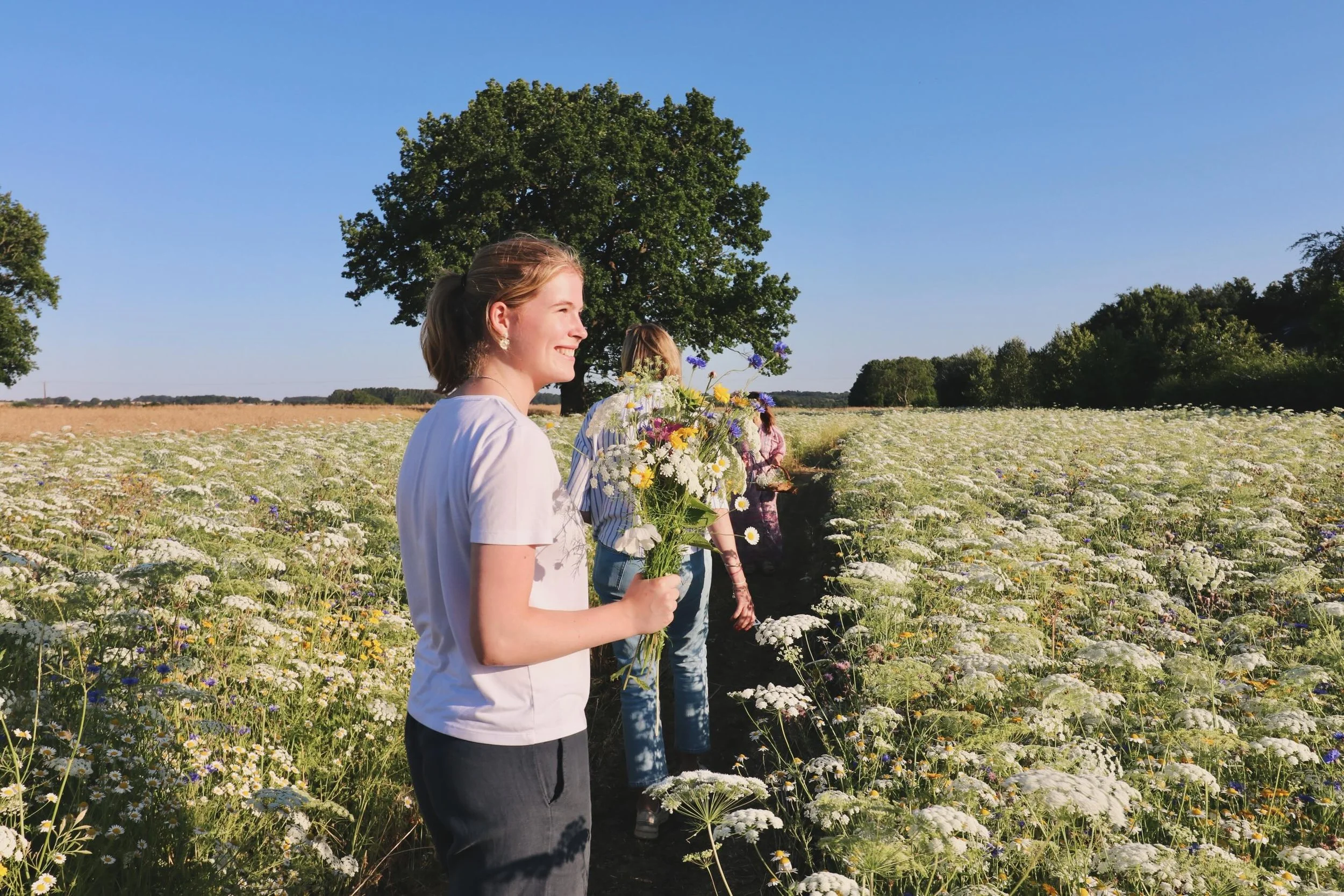 Our wildflowers are now ready for picking and there are LOADS! We are open this Saturday and on select days next week if you would like to come and choose your own bunch of flowers to take home. Please follow us @waingatesfarm and click on the link i