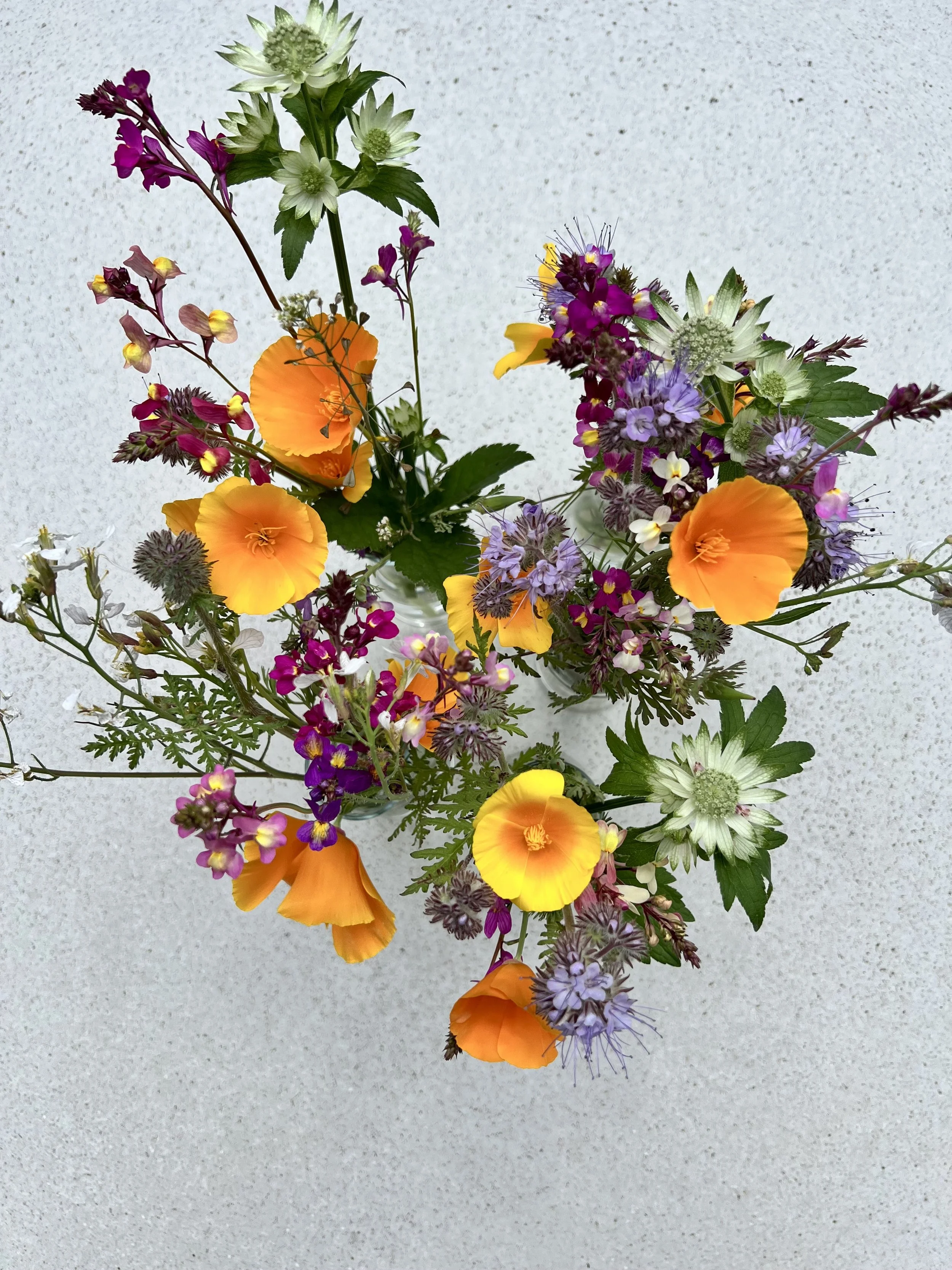 A bouquet of various colorful flowers, including orange California poppies, purple and yellow flowers, and white and green flowers, arranged in a vase on a light-colored surface.