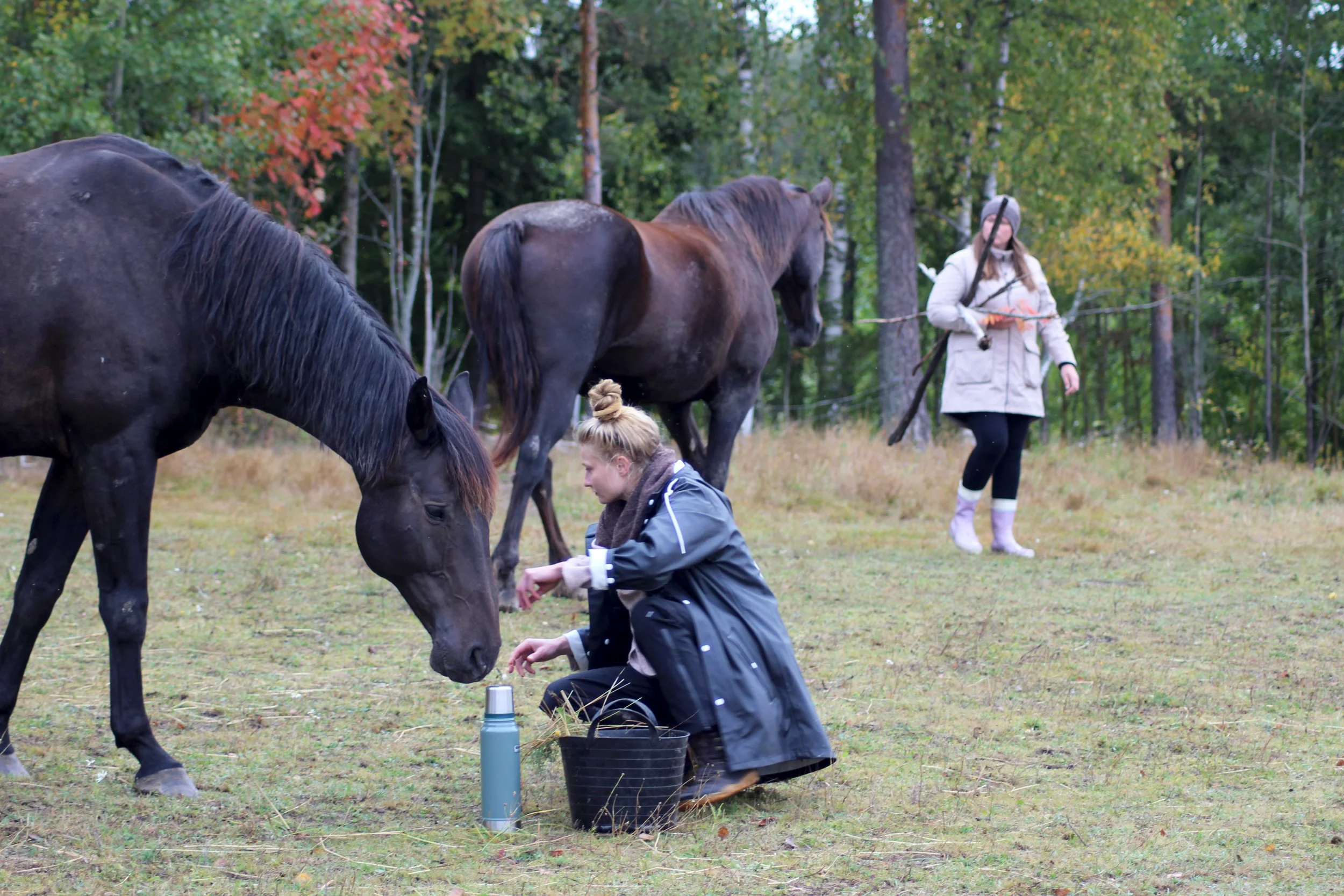 Two women caring for a black horse outdoors in a forested area during fall, one kneeling with a bucket and the other walking nearby.