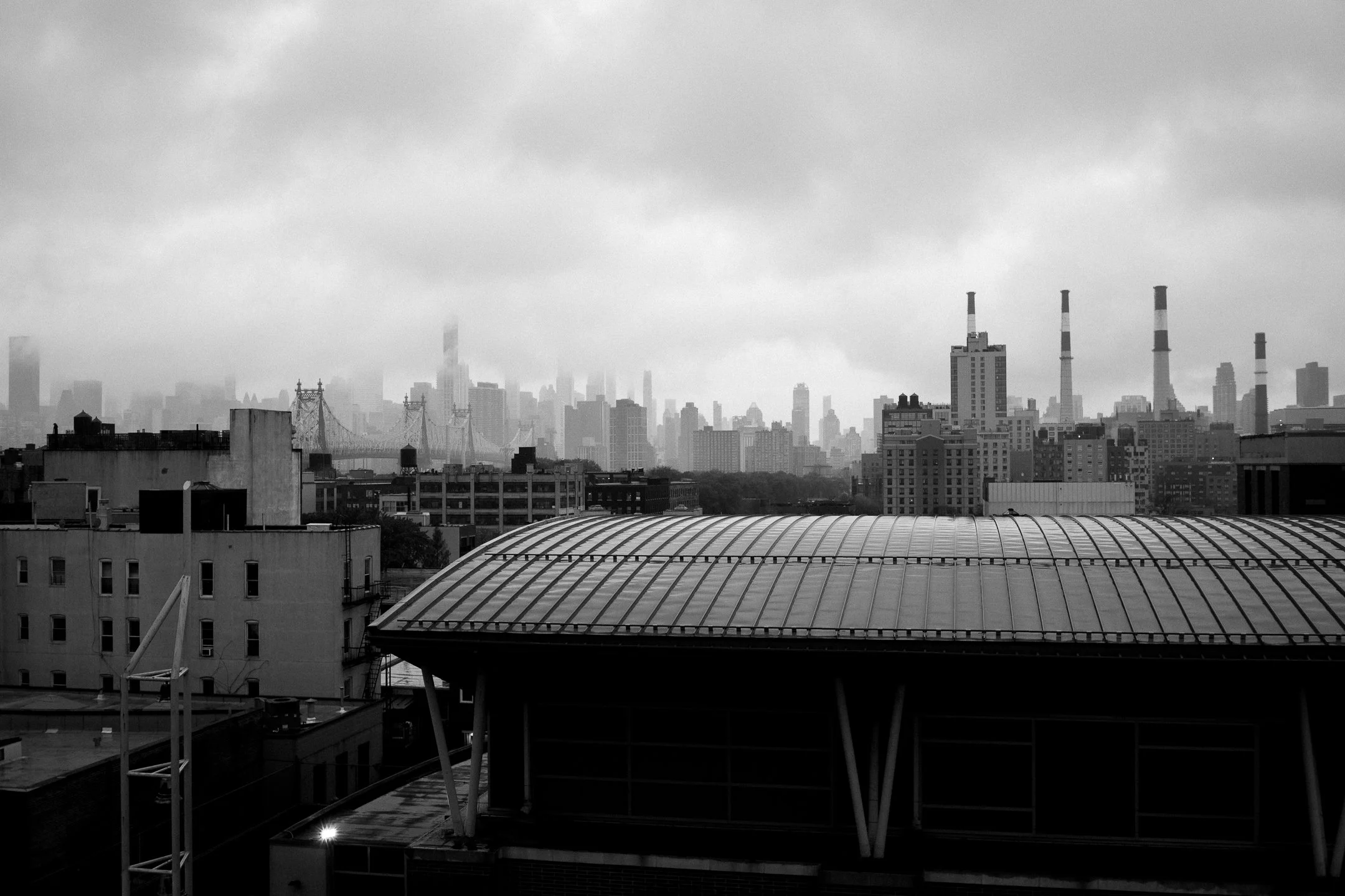 20251109-L1004590.jpg