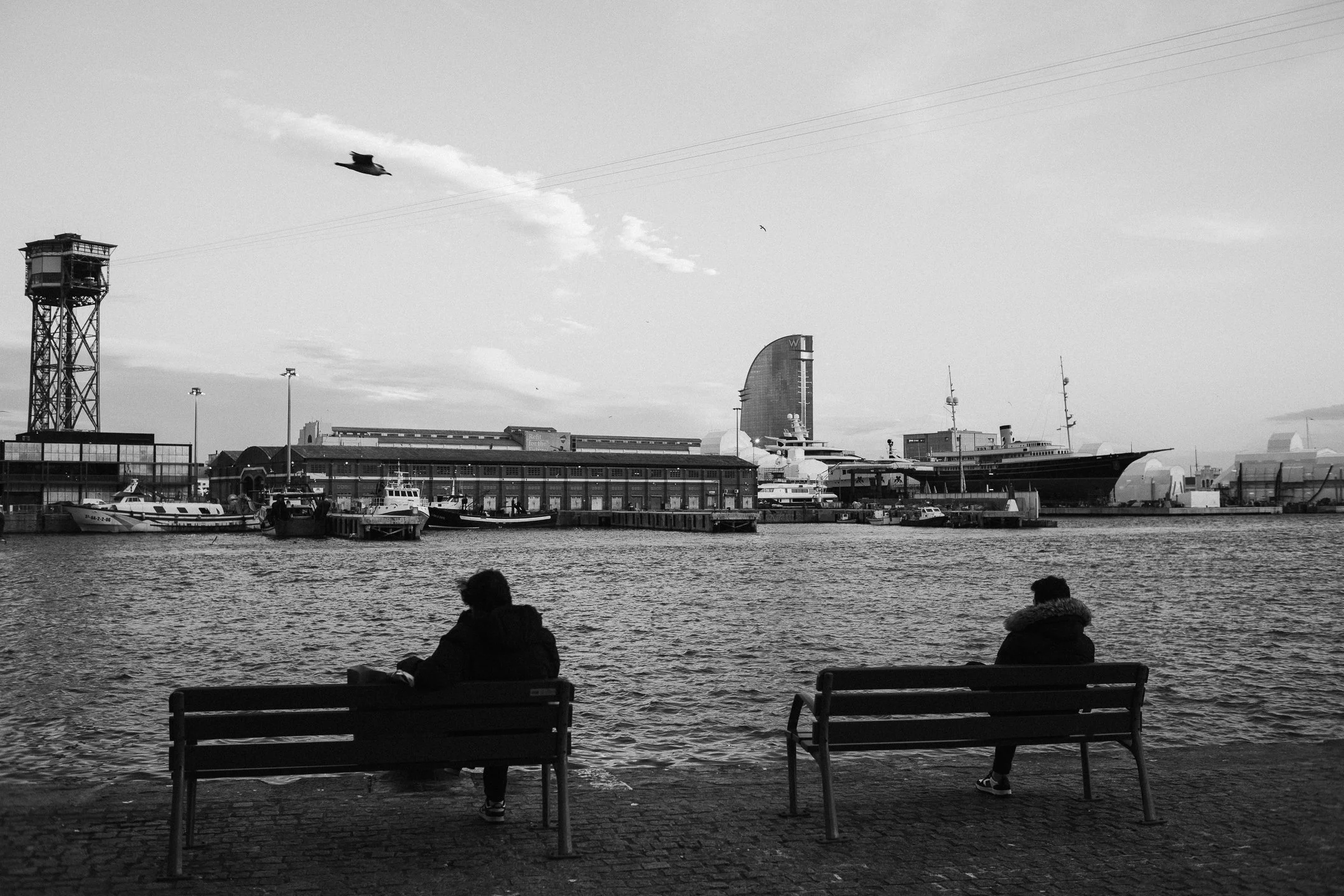 20260130-L1005534.jpg
