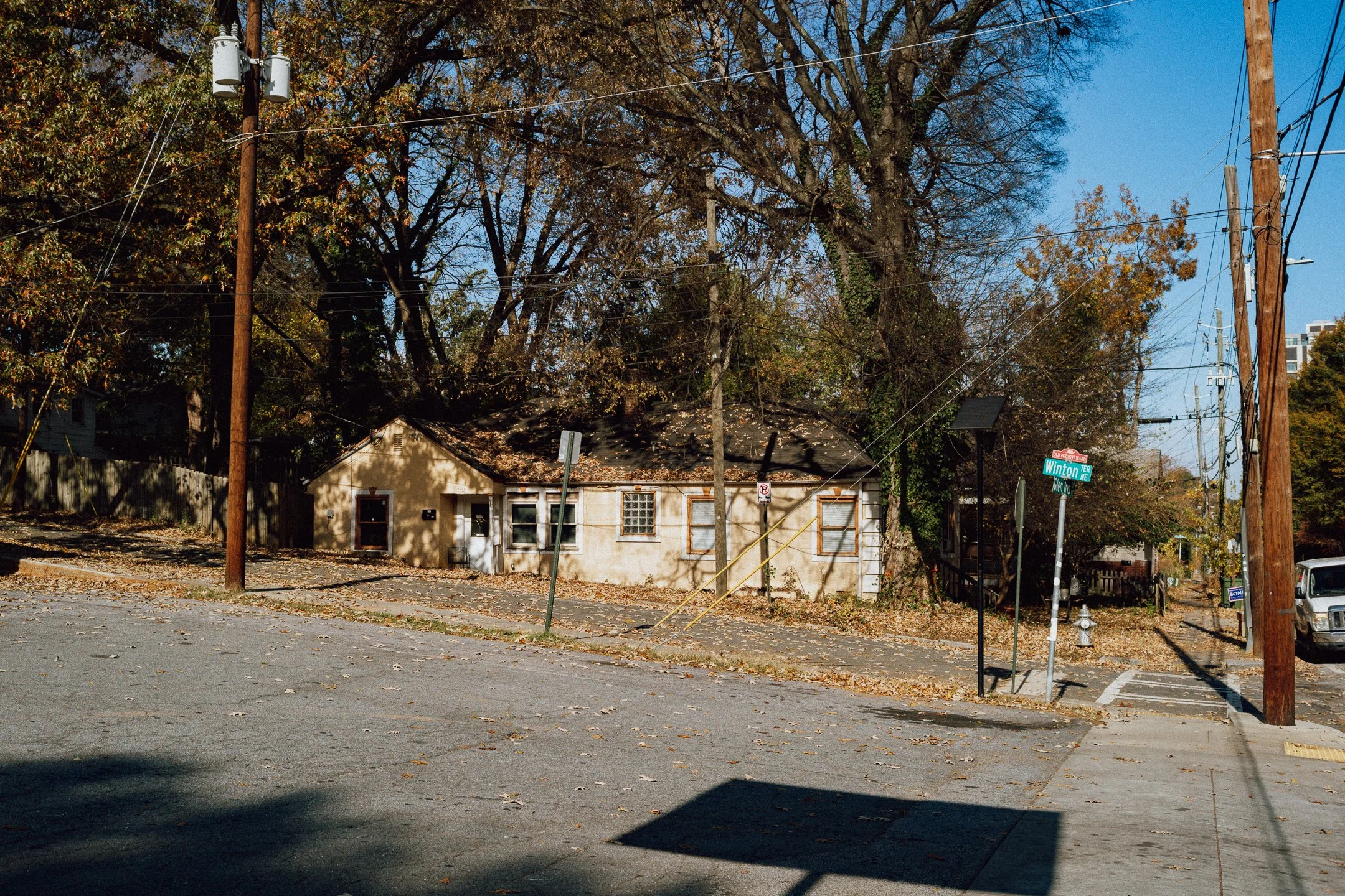 20251121-L1005078.jpg