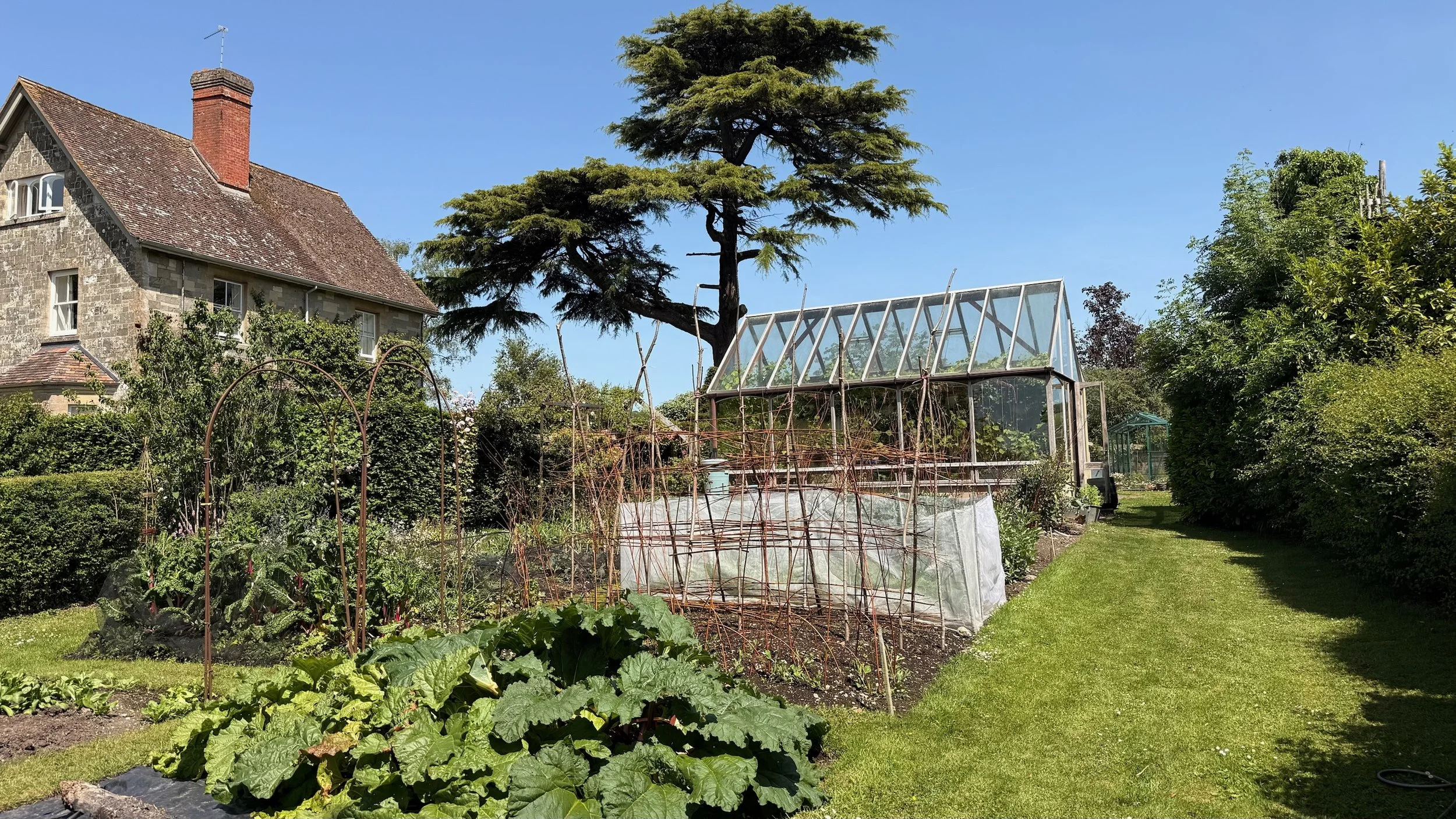 A lush garden with a variety of plants, a greenhouse, and large trees, next to a stone house with a brick chimney, under a clear blue sky.