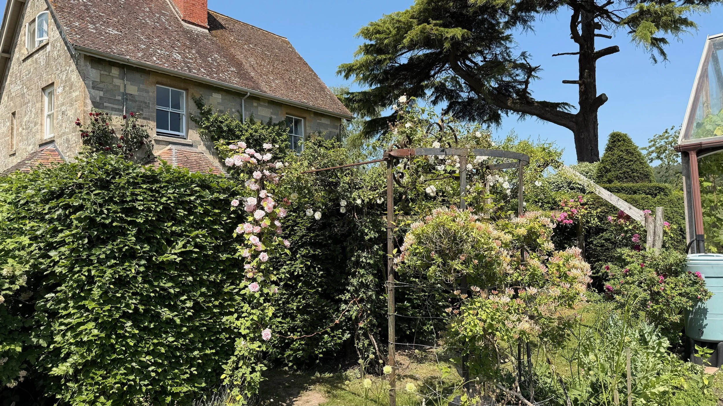 A lush garden with flowering plants and shrubs in front of a stone house with a sloped roof, surrounded by large trees and a clear blue sky.