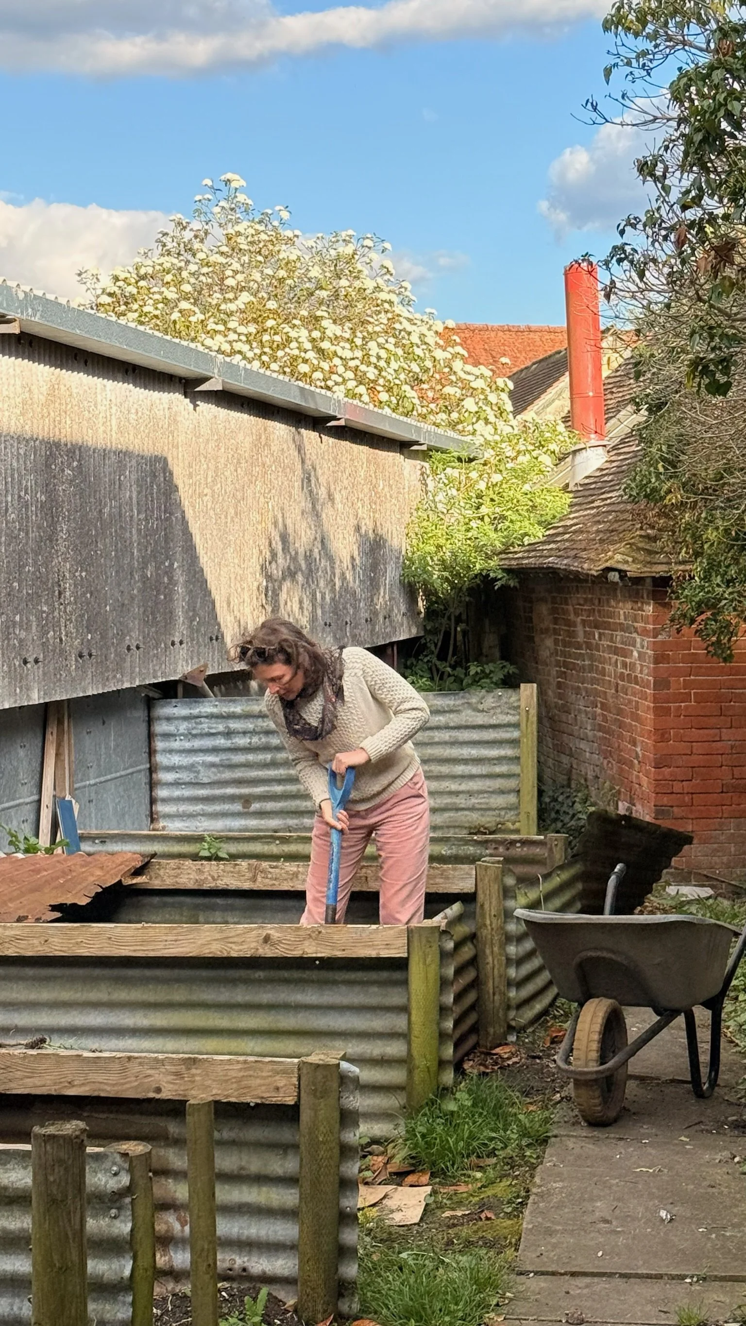 A woman working in a backyard garden, using a shovel to dig in a raised bed framed with wooden and corrugated metal sheets, with a wheelbarrow nearby, and houses and trees in the background.