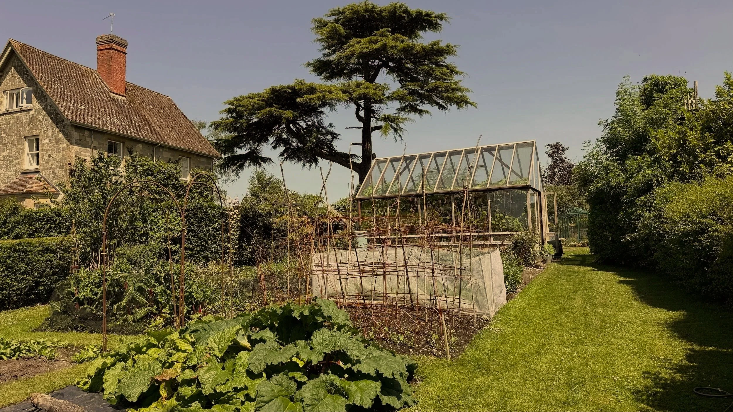 Our productive kitchen garden growing organic, seasonal fruit and vegetables