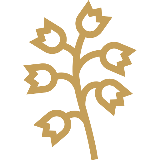Stylized gold flower with seven blooms on a black background.