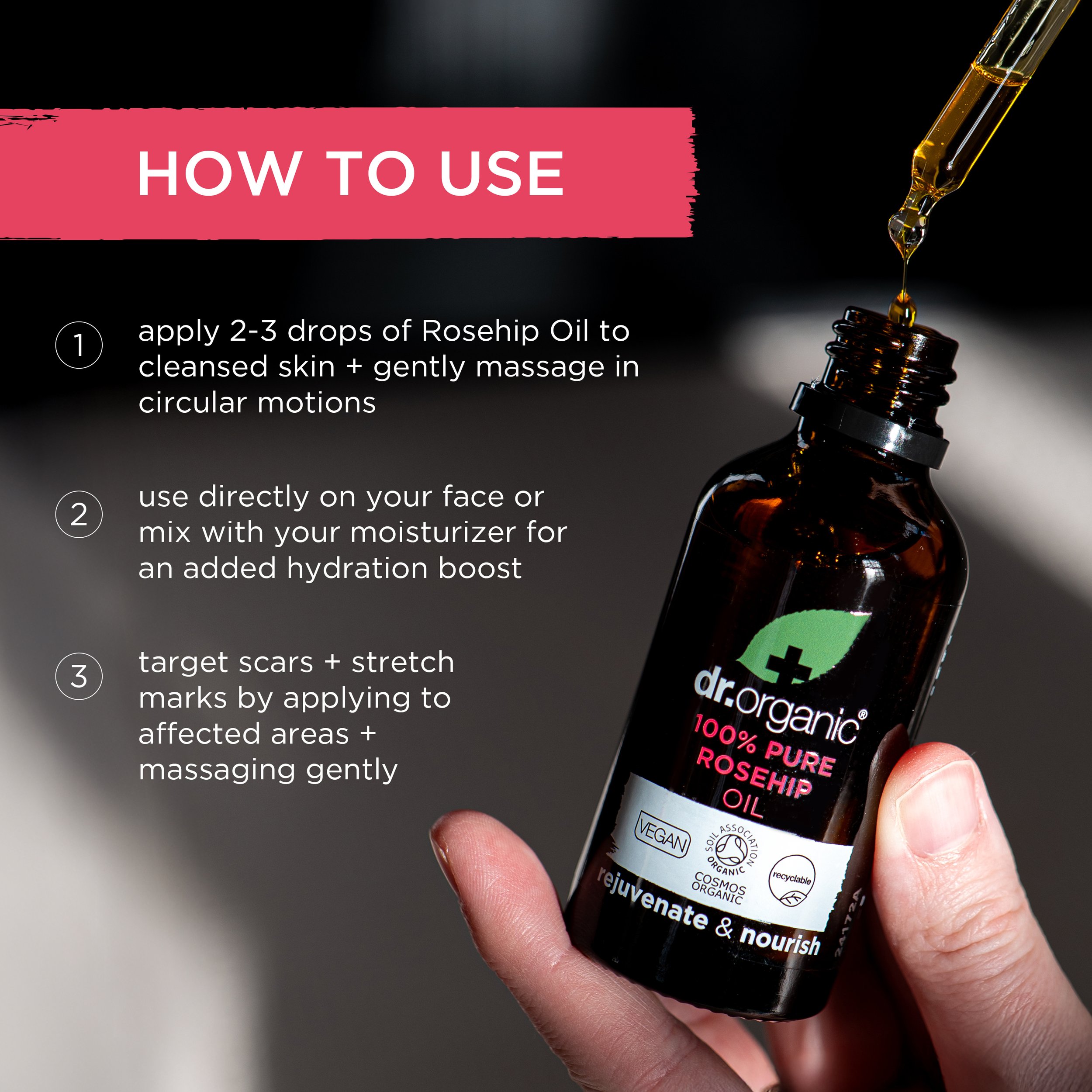 rosehip infographic how to use v1.jpg