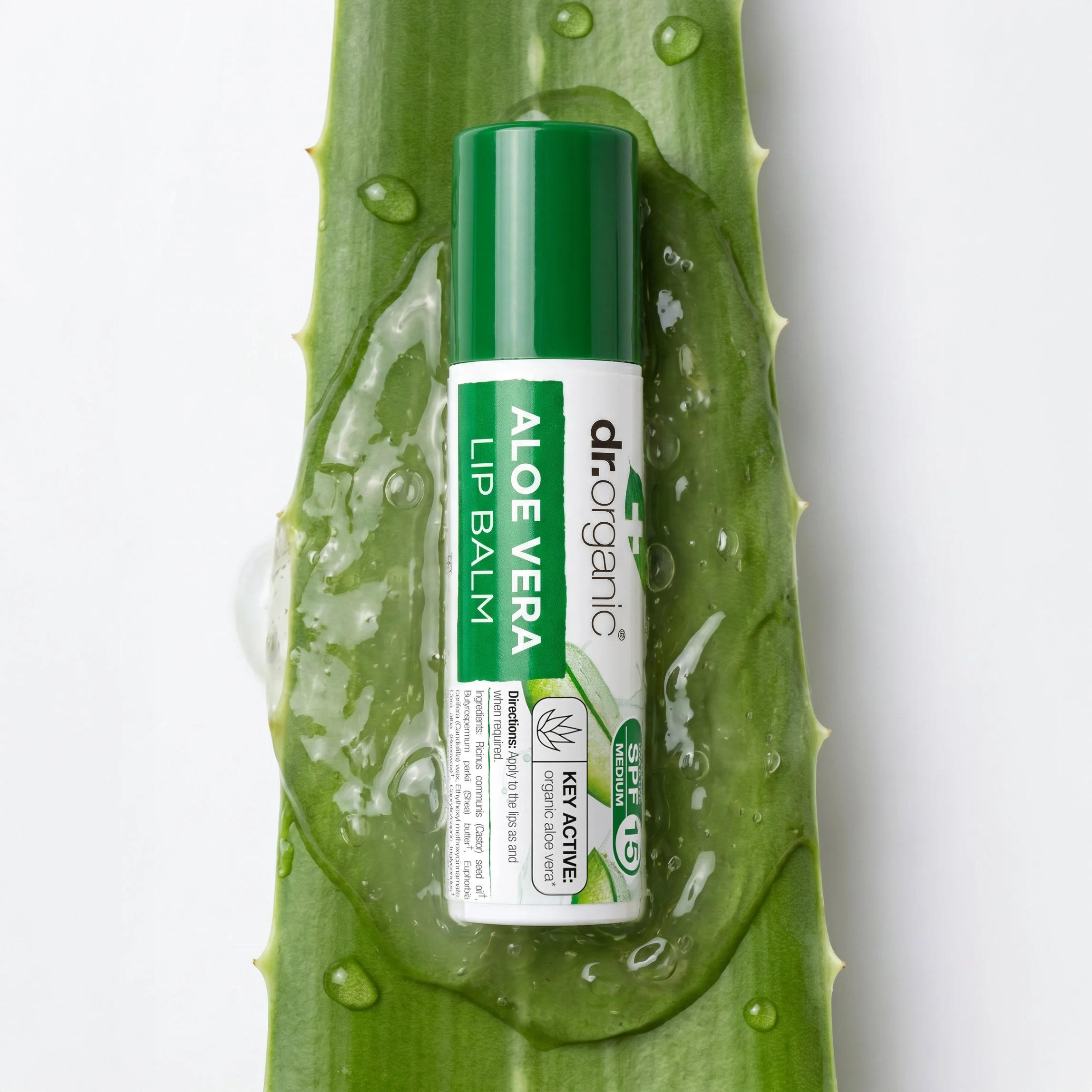 aloe vera lip balm - square.jpg
