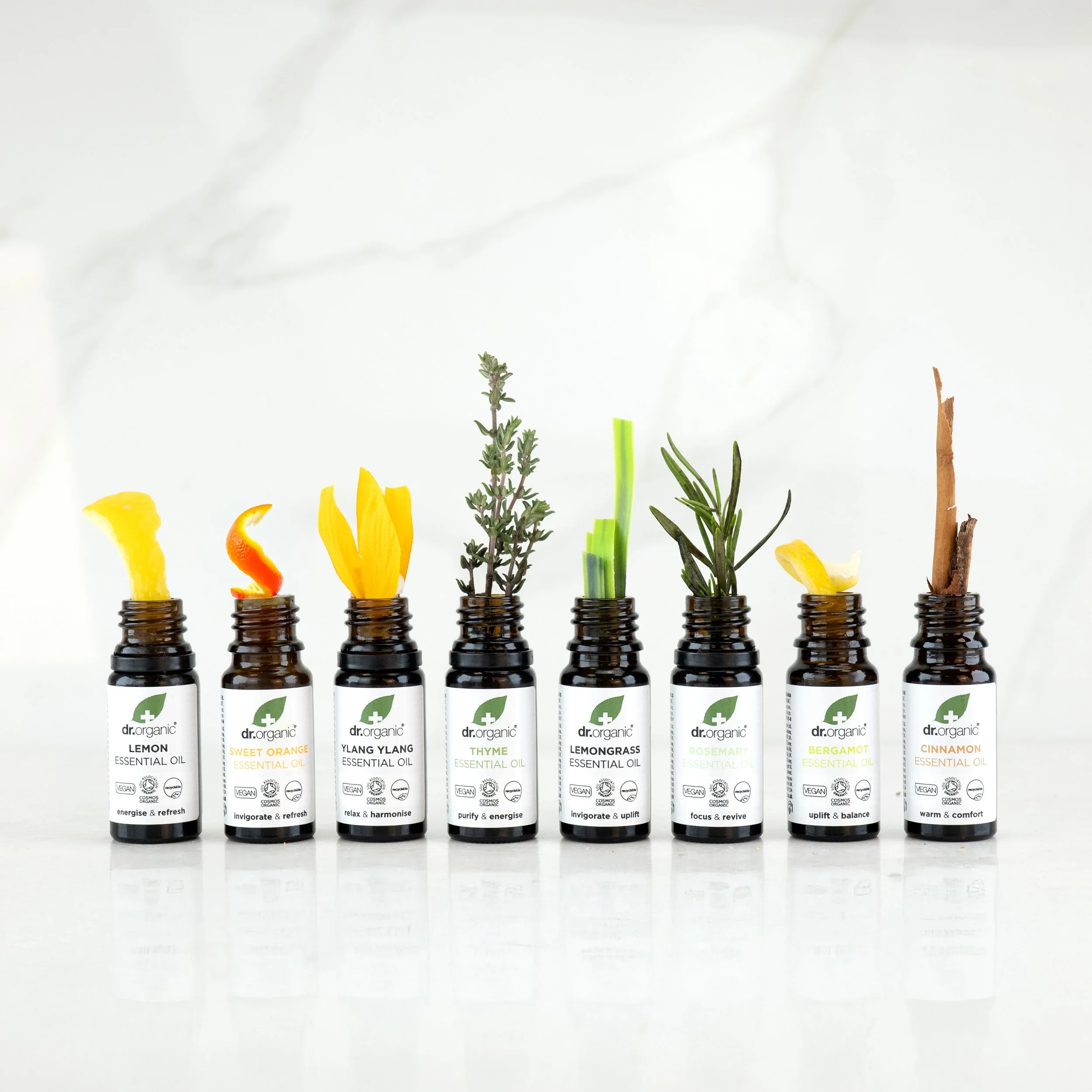 essential oils line up v2.jpg