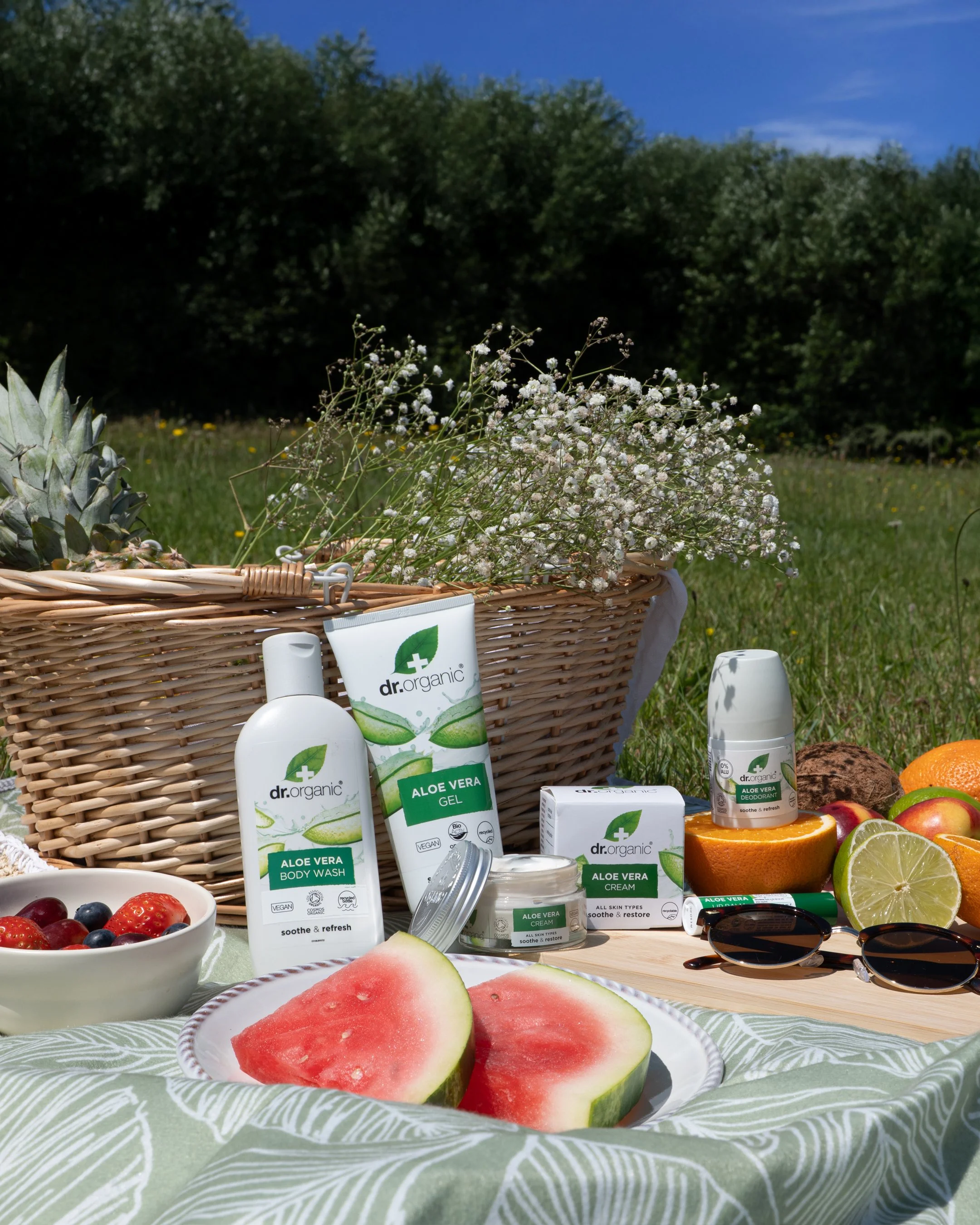 aloe giveaway - picnic slide 1.jpg