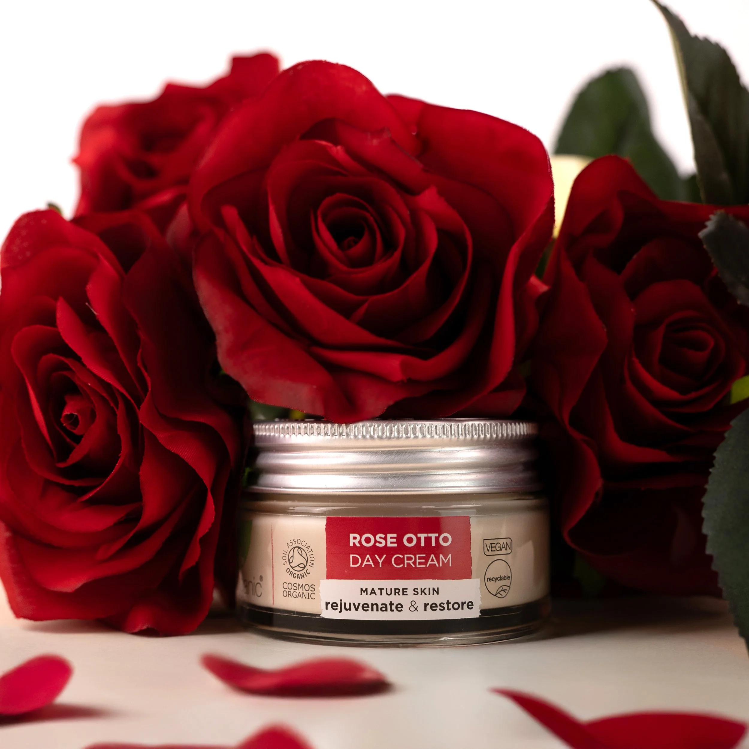 Rose day cream amongst roses.jpg