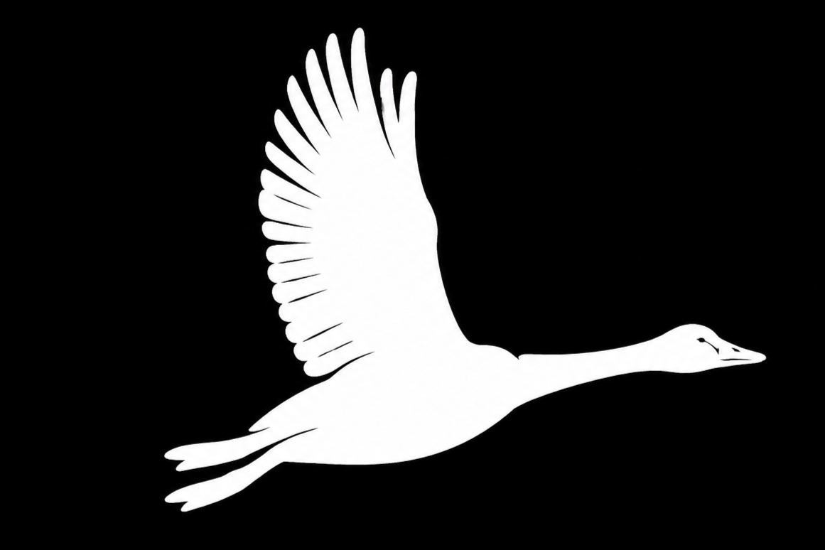 Weiße Silhouette eines fliegenden Gänses auf schwarzem Hintergrund.