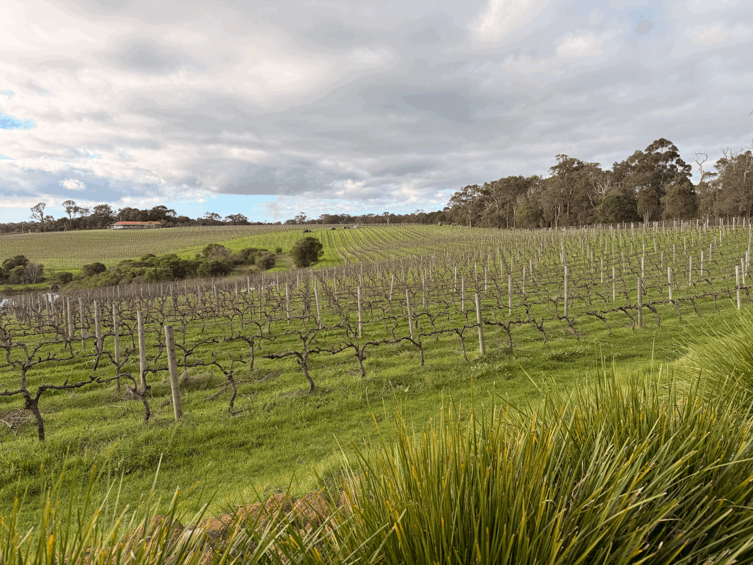 Our Favourite Wineries Near Barnwood Escape