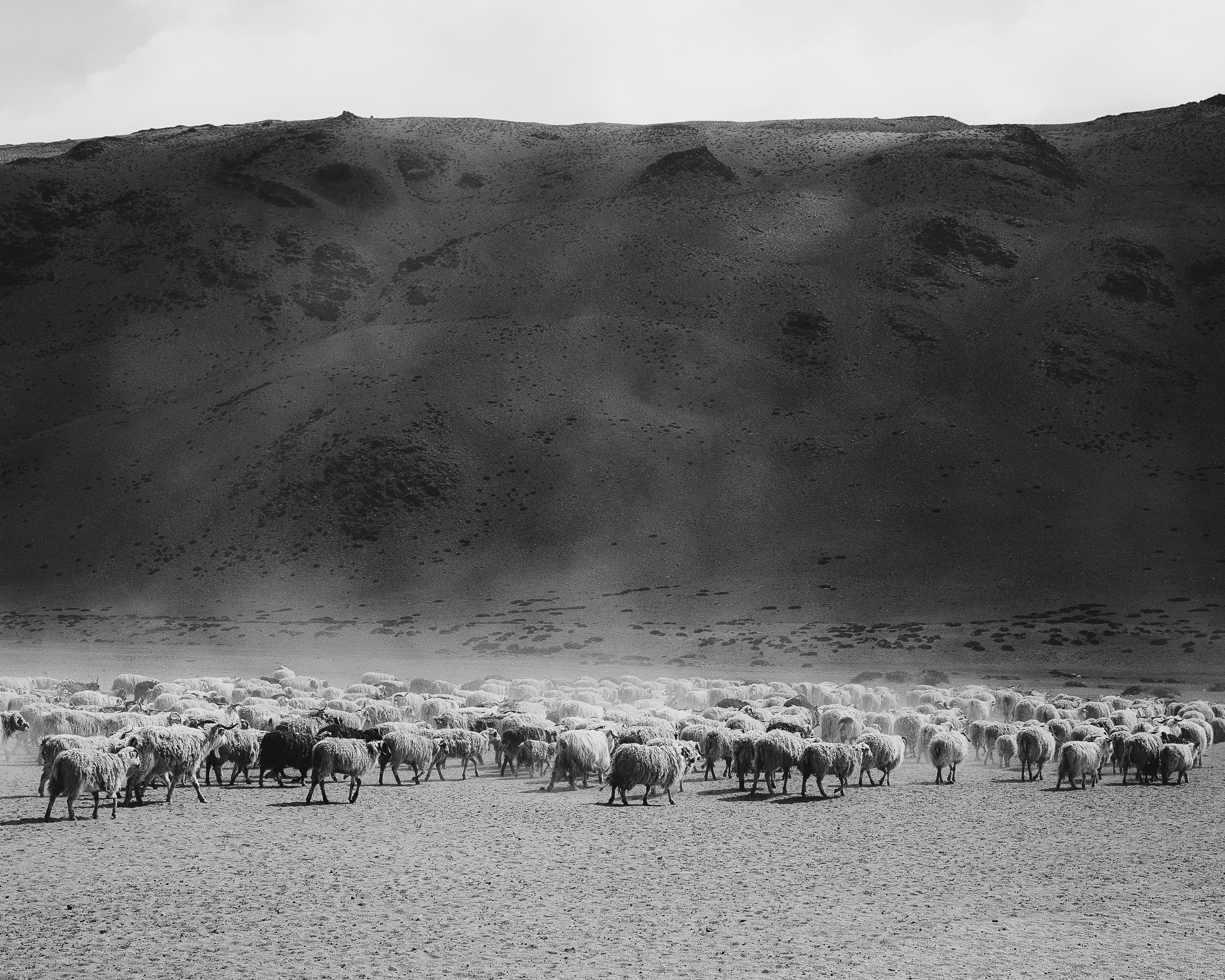 Ladakh_0666.jpg
