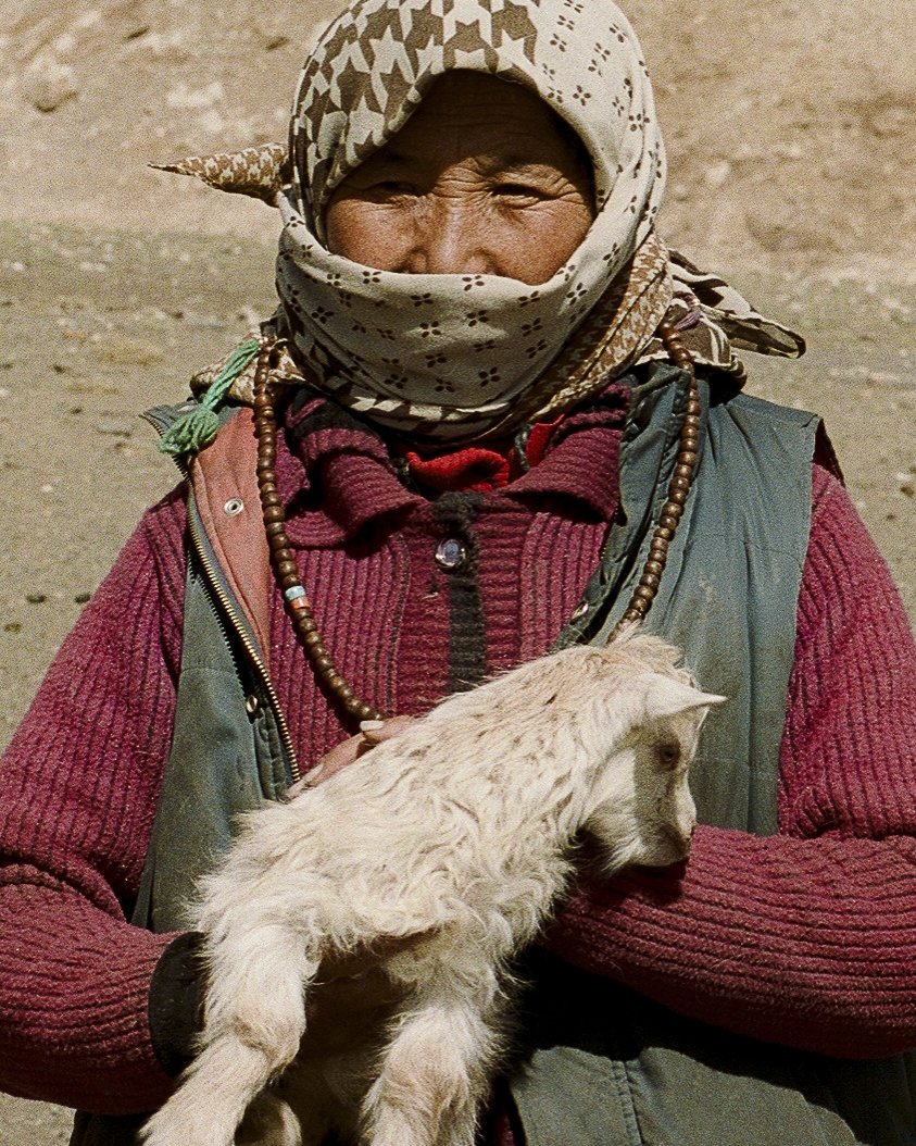 Ladakh_0720.jpg
