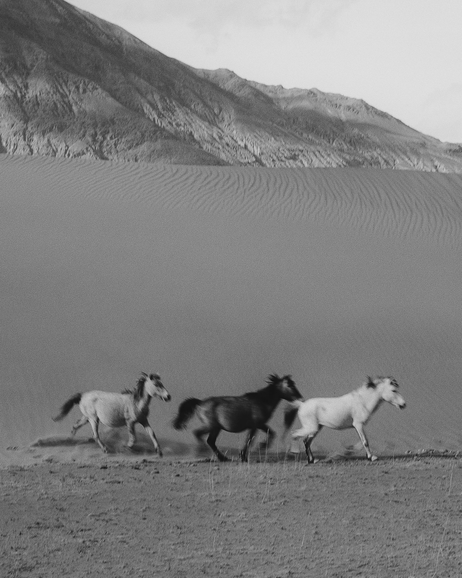 Ladakh_0136.jpg