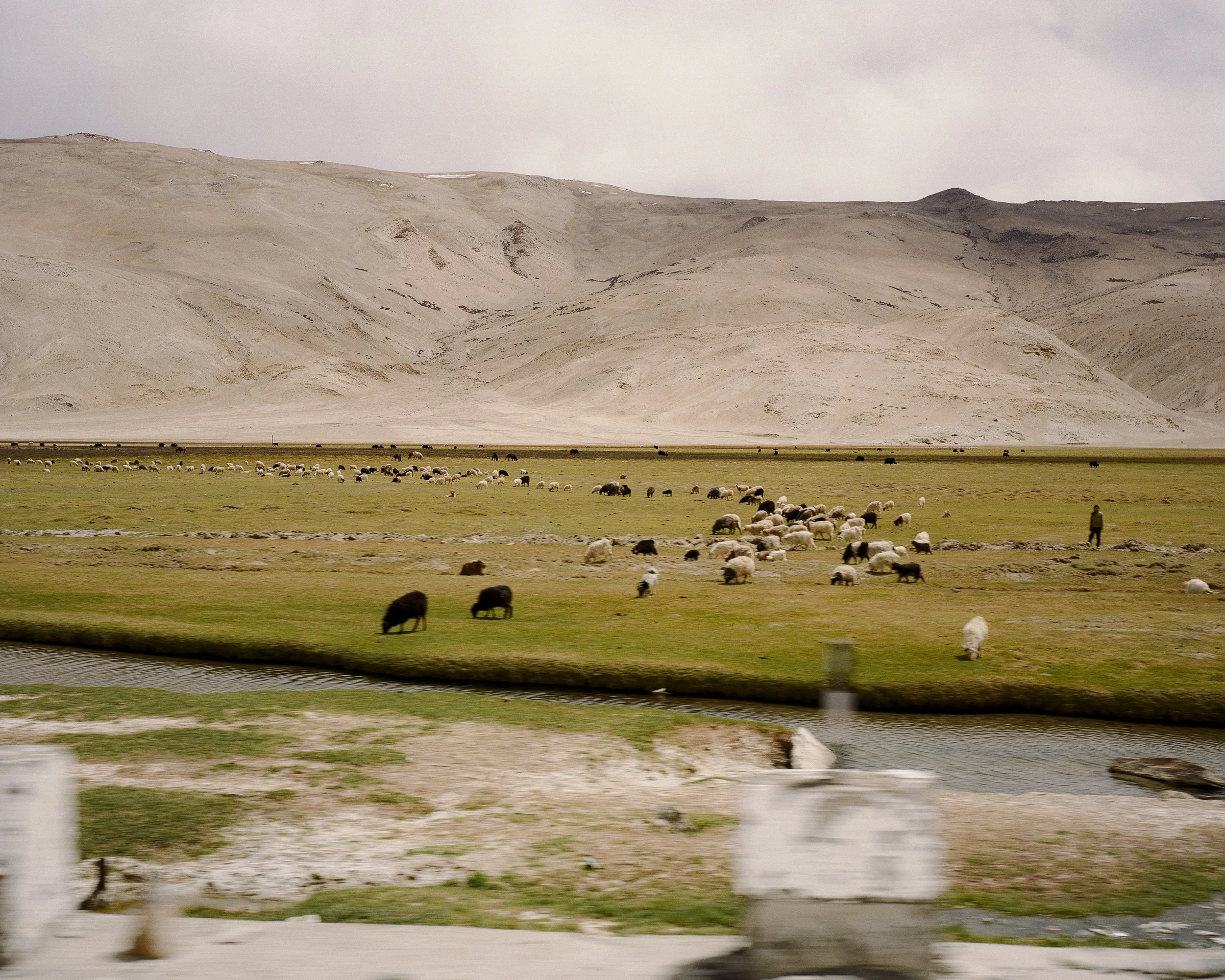 Ladakh_0883.jpg