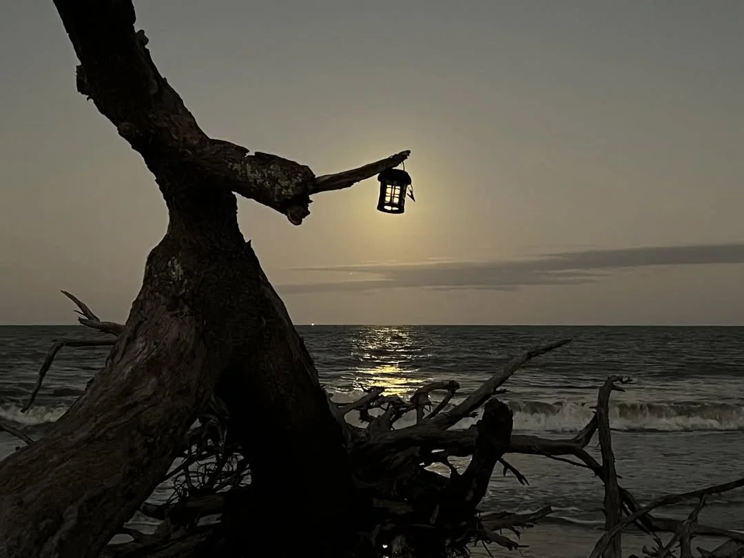 Moonrise Driftwood Beach.jpg