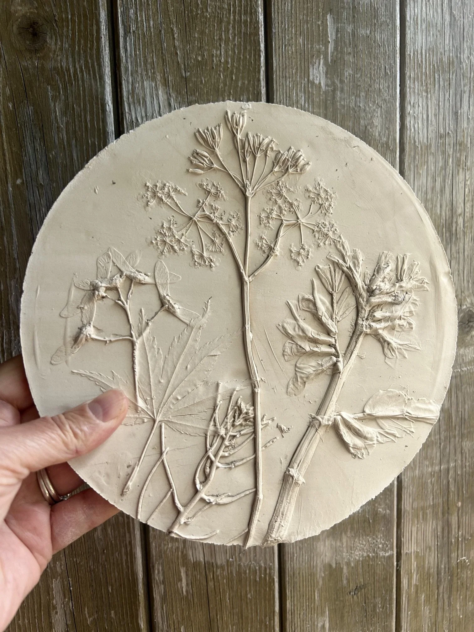Pottery Botanical Casting Friday 2nd October 10-12.15pm