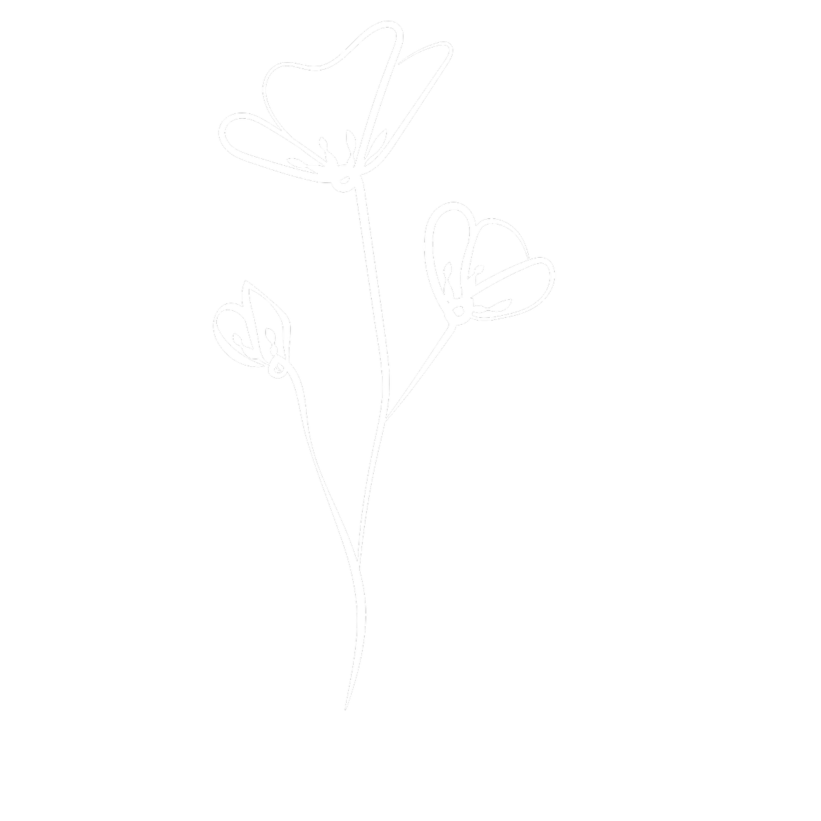 White outline drawing of three butterflies on a single flower stem against a black background.
