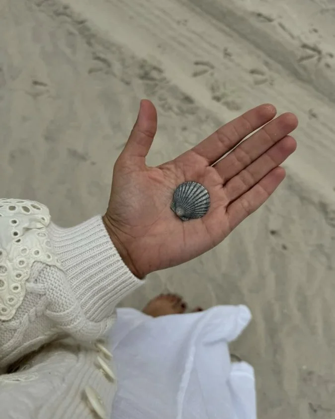 A person holding a small seashell on their palm with a sandy beach background.
