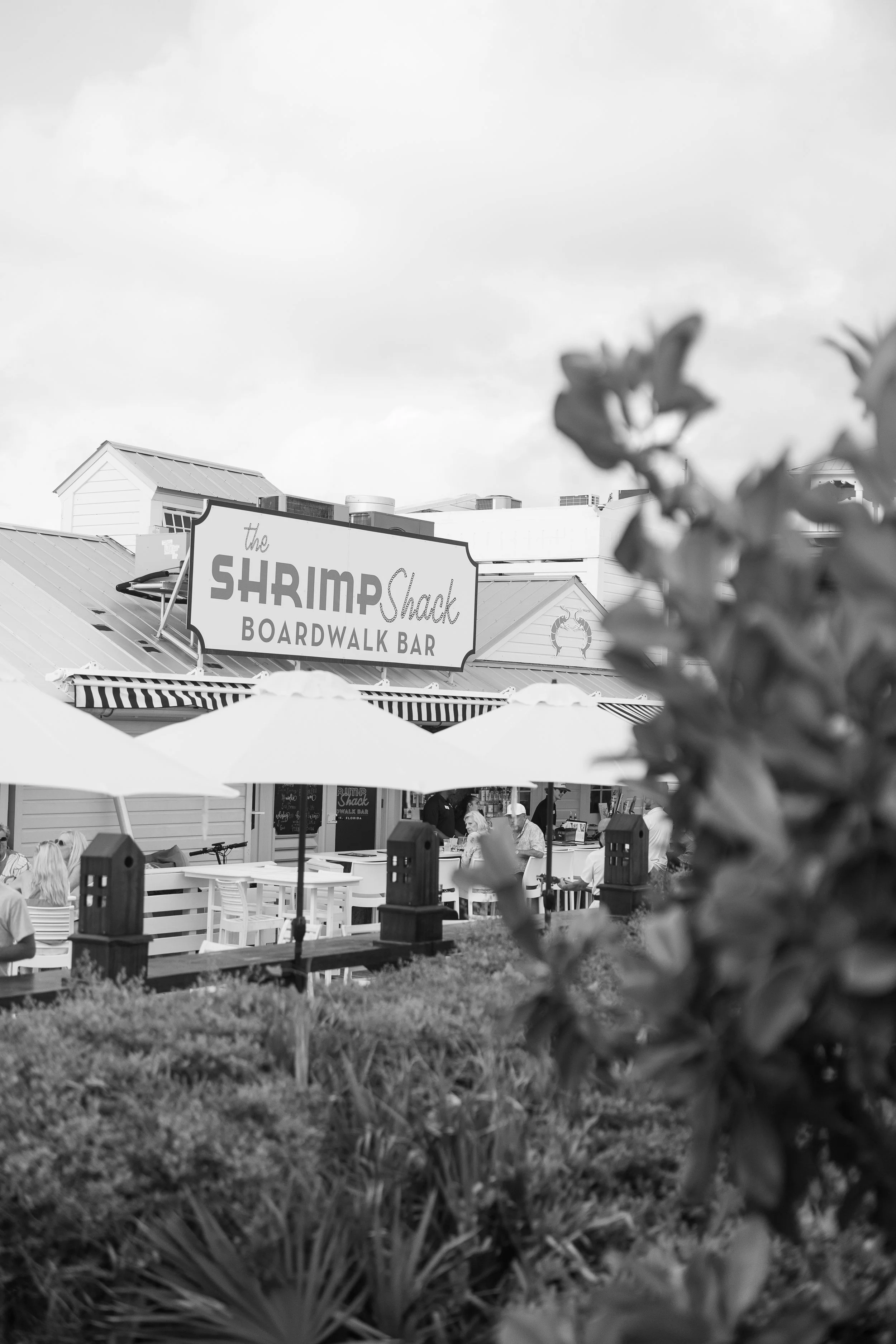 travel guide: seaside, fl