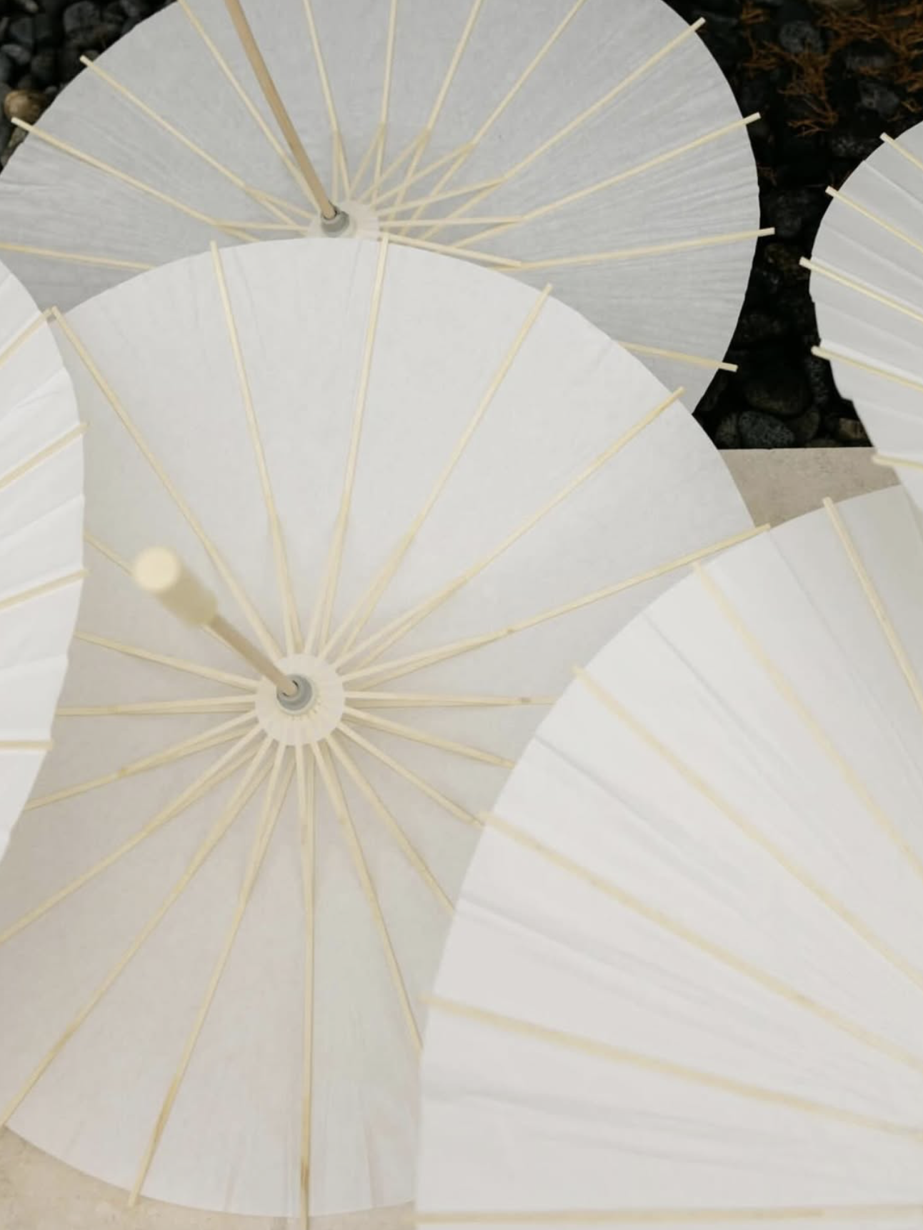 Multiple white paper umbrellas with wooden spokes on a dark surface.