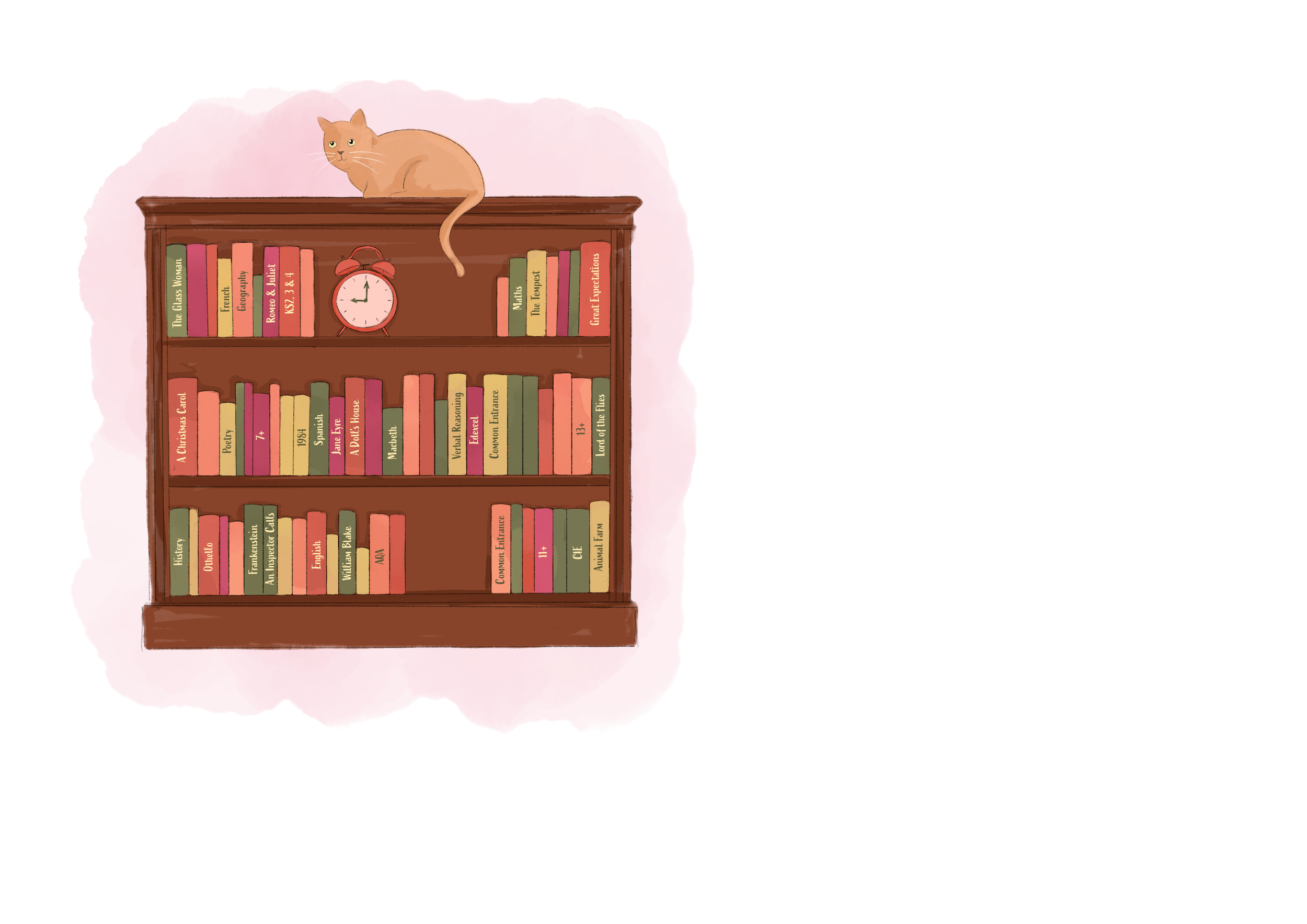 A cartoon illustration of a wooden bookshelf filled with colorful books, a pink alarm clock in the center, and a beige cat sitting on top of the bookshelf with a pink background.