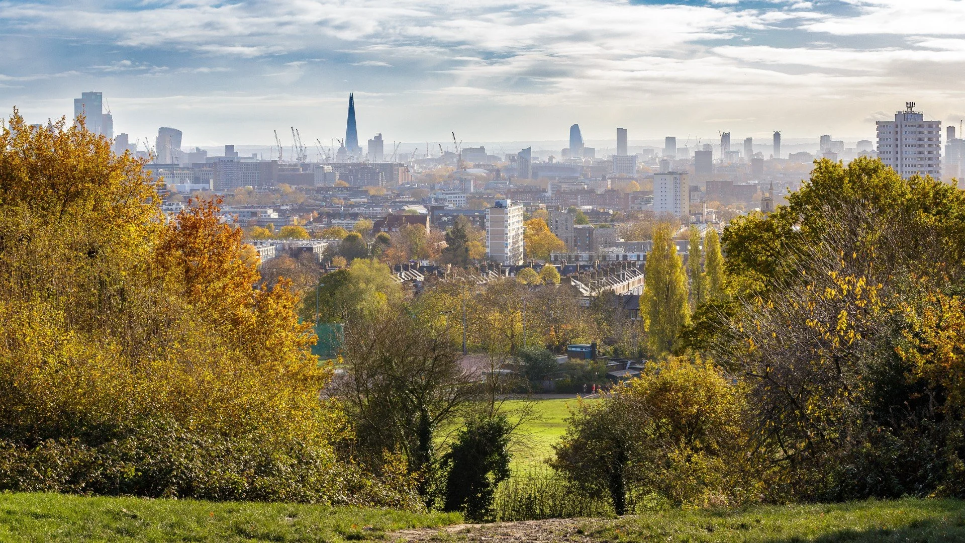 View of London city skyline with tall buildings and skyscrapers, seen from a green park area with trees in autumn colors in the foreground.